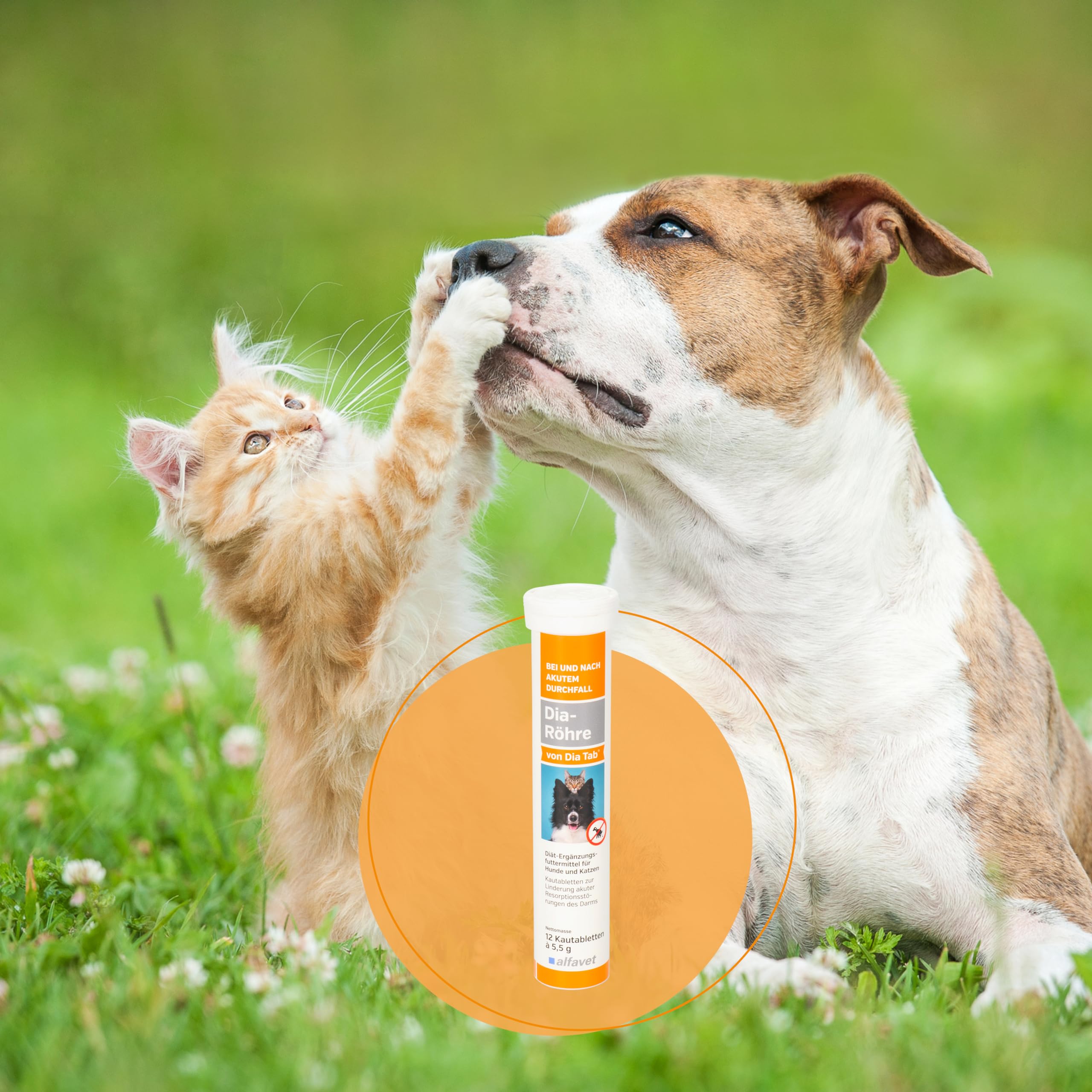 Alfavet Dia Tab Röhre Für Hunde & Katzen – Bei Durchfall, 12x5,5g (271,21 EUR/kg)