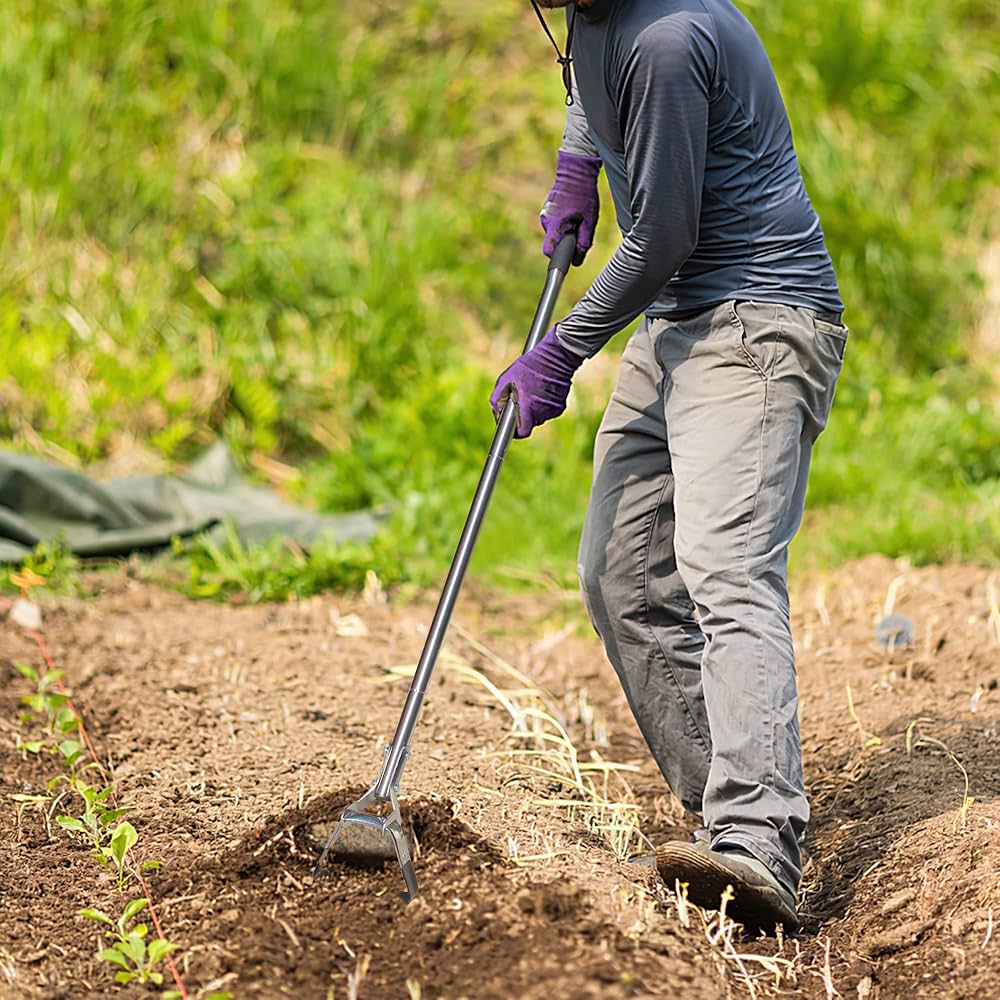 81LYX3t5ZQL._AC_UF1000,