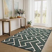 Biscpro Tapis de Porte Paillasson d'Entree Interieur et 90x150cm Extérieur Antidérapant et Absorbant,Lavable,Chambre,Cuisine,Couloir-Emerald