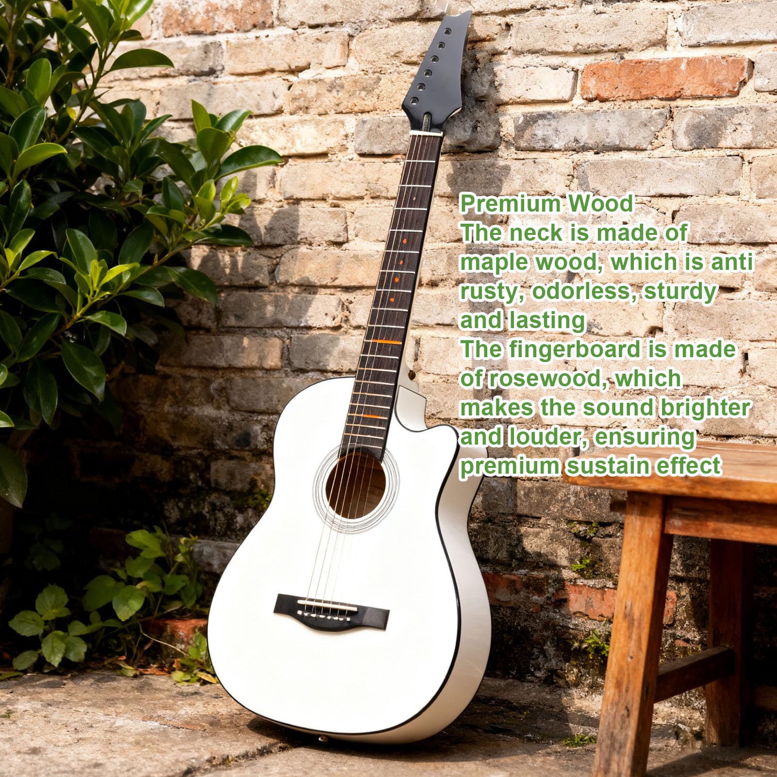 Manico per Chitarra Elettrica a 24 Tasti, Manico di Ricambio per Tastiera in Acero e Palissandro, per Progetto Chitarra Fai da Te