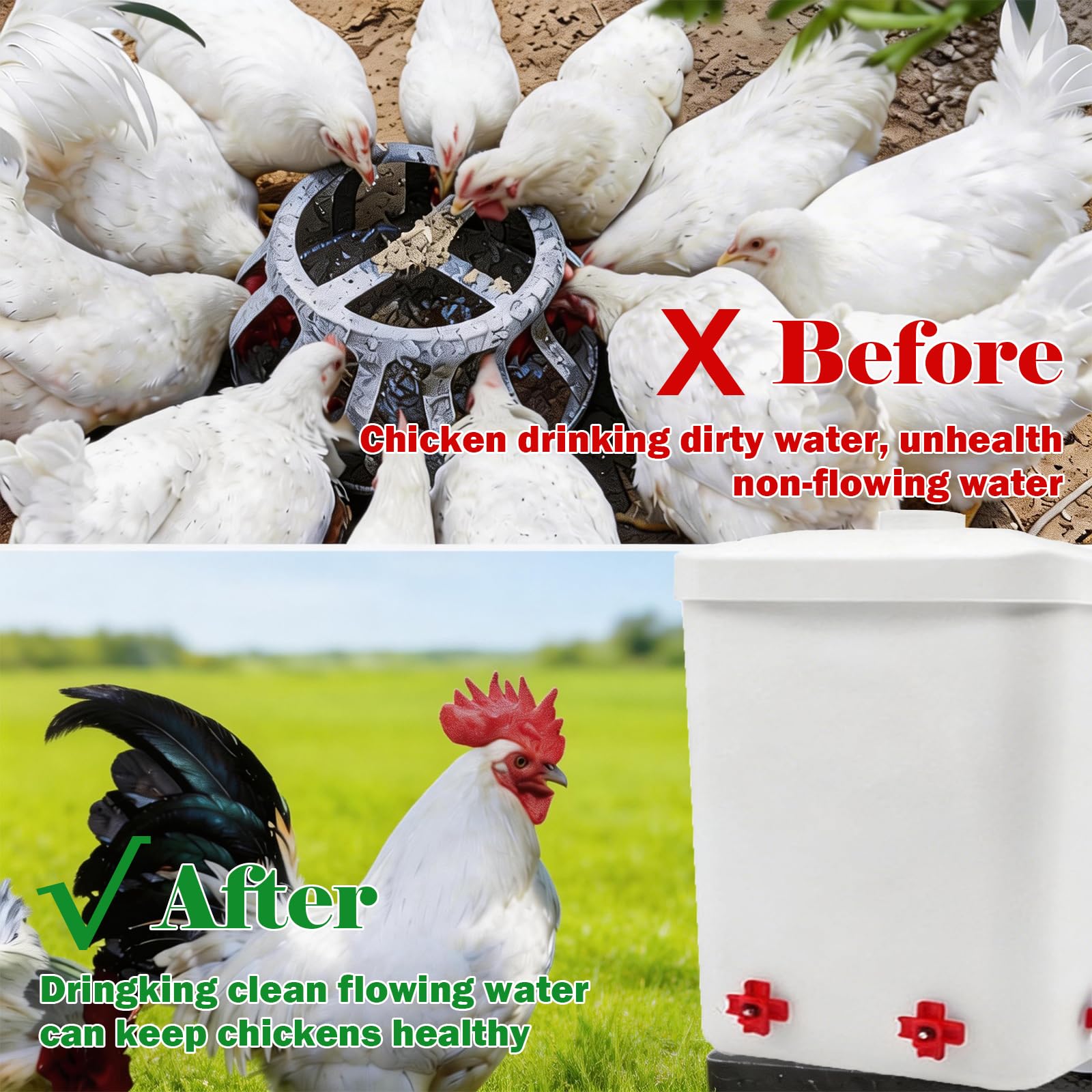 Bebedero para Gallinas con Asa Transportable, Bebederos para Gallinas de Plástico Resistente con Varias Salidas de Agua, Adecuado para Gallinas, Pavos y Aves Pequeñas en Granjas y Corrales Domésticos