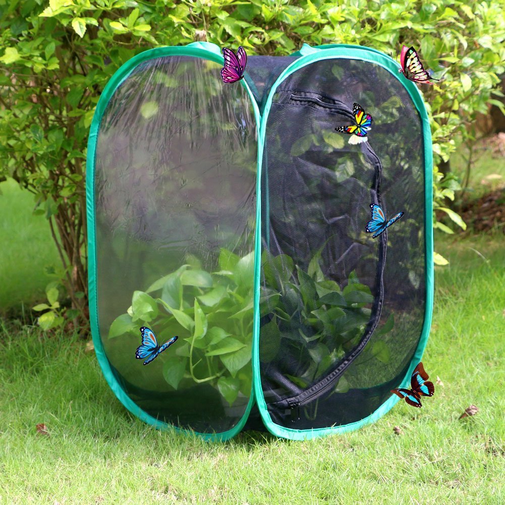 Amazon | SATiNU 60*40*40CM 昆虫飼育箱 植物ケージ 標本箱 虫かご