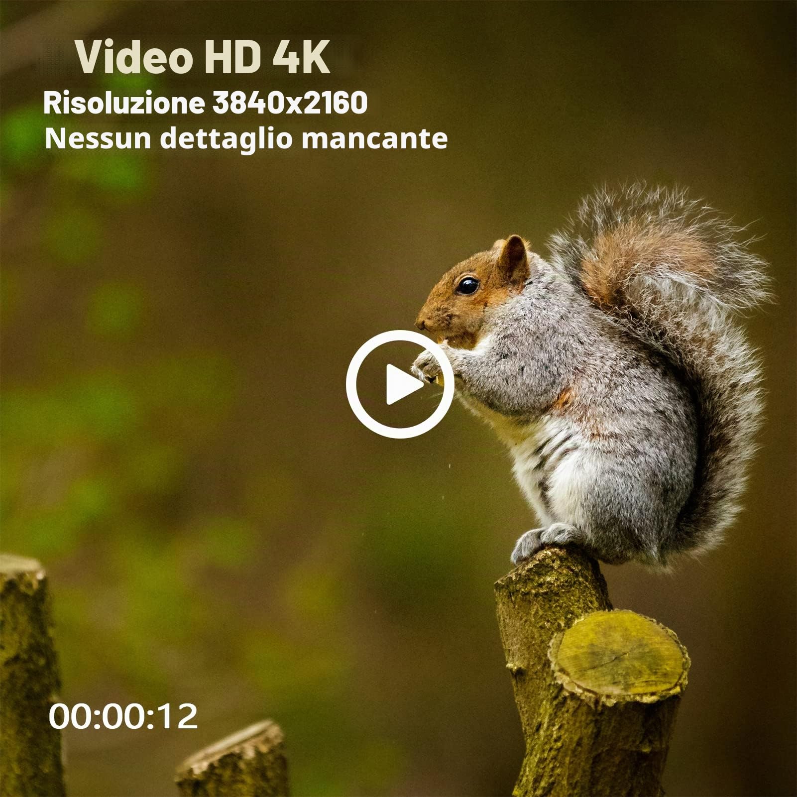 4K Fotocamera Digitale, Macchina Fotografica Digitale con 1080P 48MP Fotocamera, Zoom Digitale 8X, Schermo LCD, Luce di Riempimento Integrata, Mini Fotocamere Portatili Compatte per Studenti