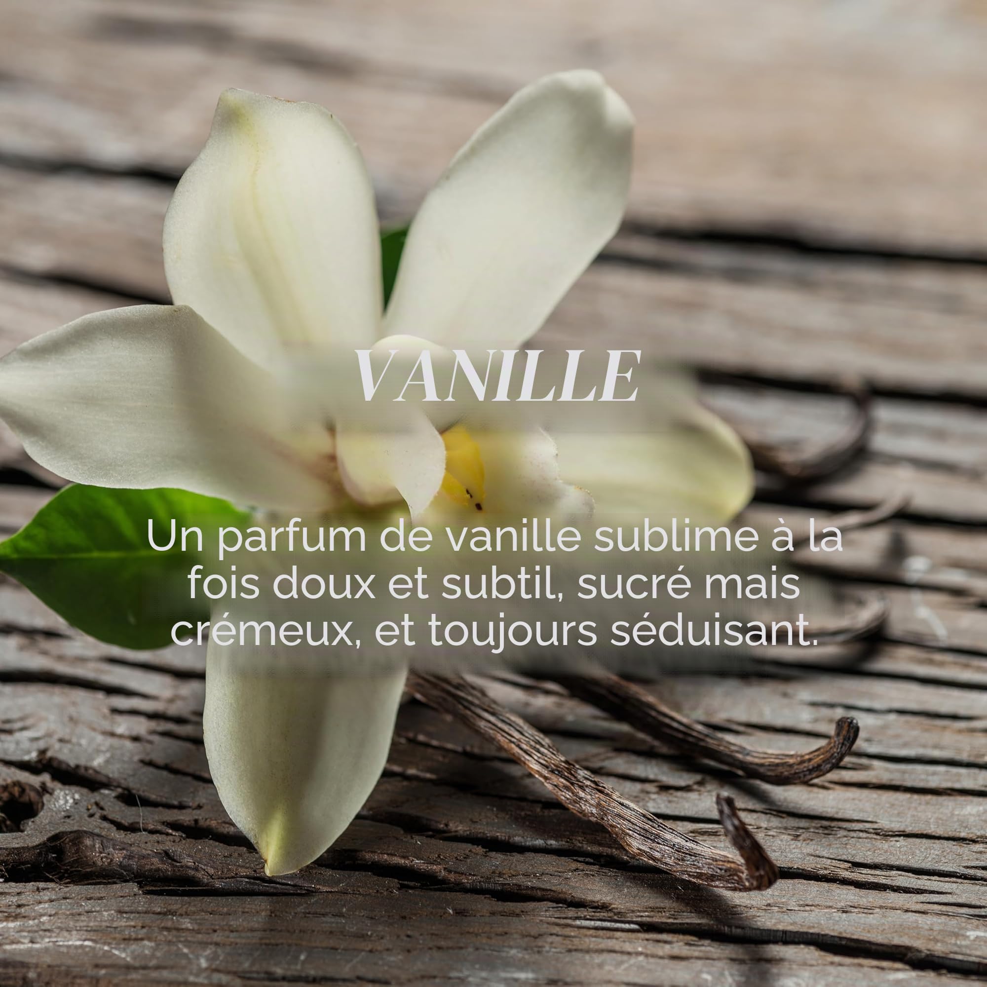 Yankee Candle bougie parfumée Vanille | Format jarre | Bougie longue durée jusqu’à 150 heures de combustion | Cadeaux pour femmes