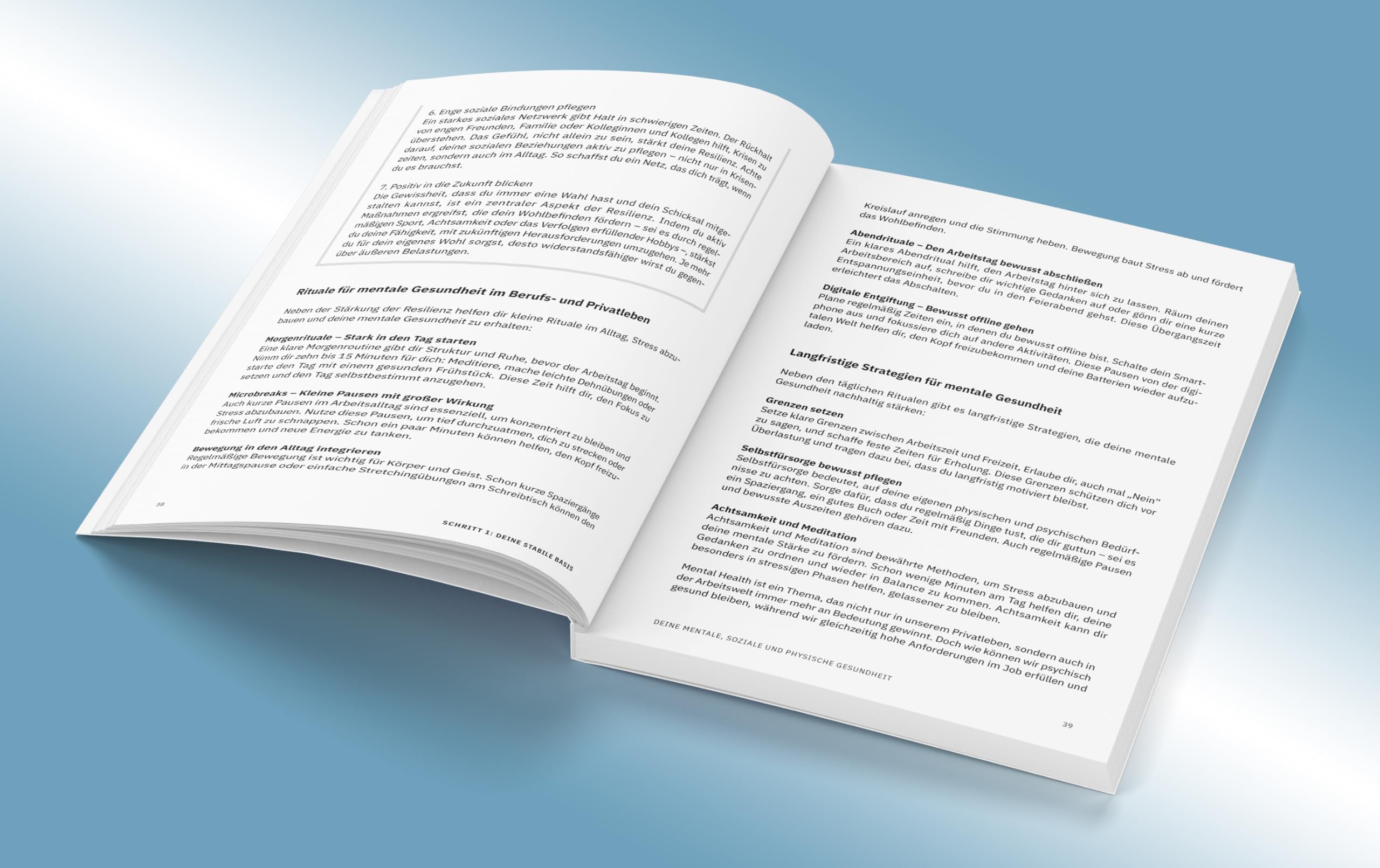 Der 5-Schritte-Plan zur individuellen Karrieregestaltung: Innere Klarheit gewinnen. Wertvolle Beziehungen aufbauen. Sinnerfülltes Berufsleben führen. ... Zusatzinhalten zum Buch (Whitebooks)