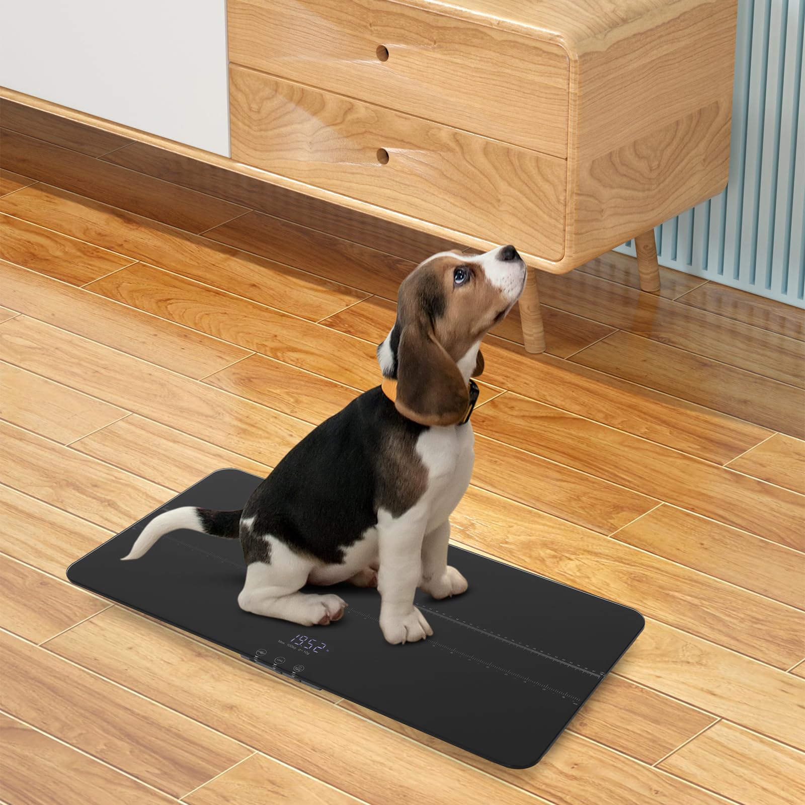 Digitale Hundewaage Haustierwaage Tierwaage für Große Hunde Katzen max. 100kg 10g Genauigkeit LCD-Anzeige 3 Wiegemodi kg lb oz USB-Aufladbar Tara Haltefunktion Breite Plattform (schwarz)