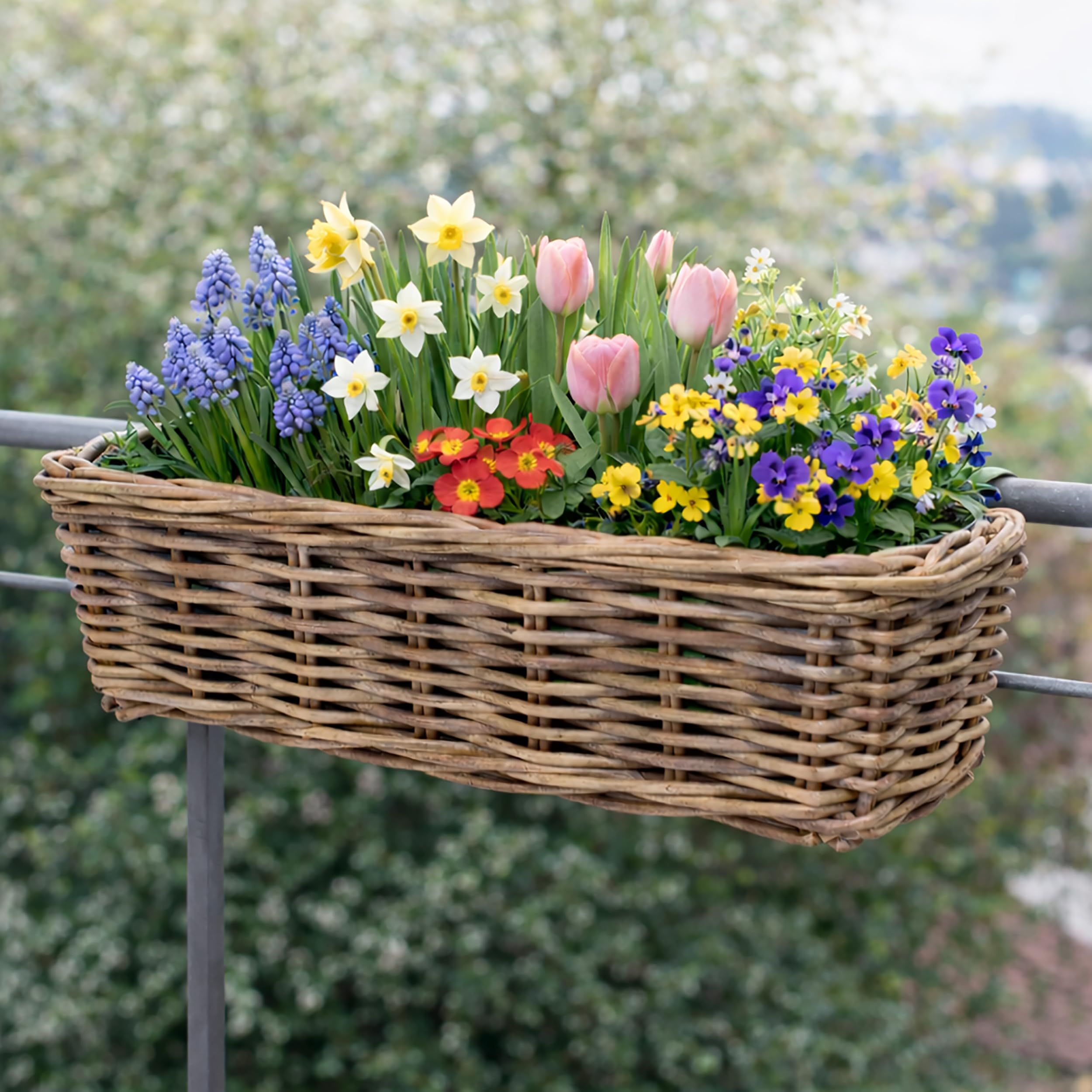 Annastore Blumenkasten 2er Set 55 cm Weide Natur zum Einhängen Balkon | Für Geländer bis 5,5 cm, mit Folie, direkt bepflanzbar, wetterfest, formstabil, Pflanzkasten für Garten & Blumen