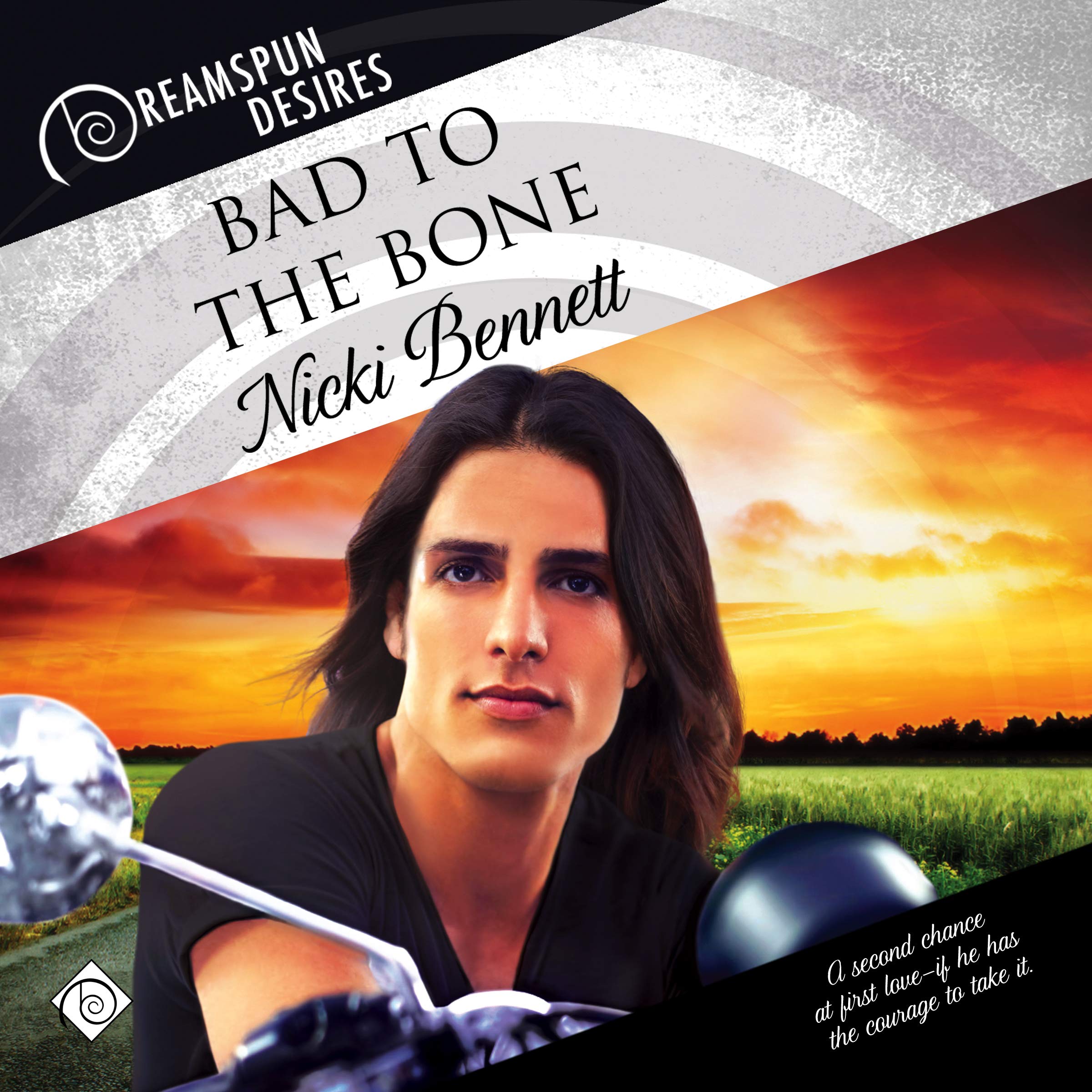 Cover art for Bad to the Bone (Dreamspun Desires)