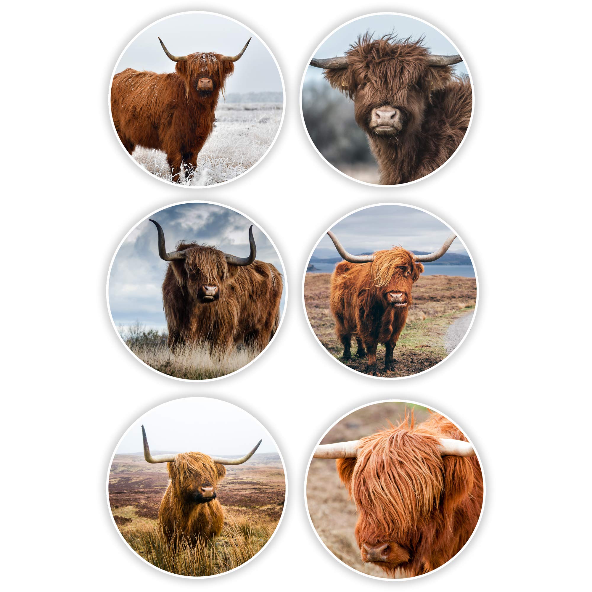 Destination Vinyl Ltd Multi 6 X Highland Cow Vinyl Stickers 8Cm - Cattle Scotland Laptop Sticker #30025 (8Cm (6 Stickers))