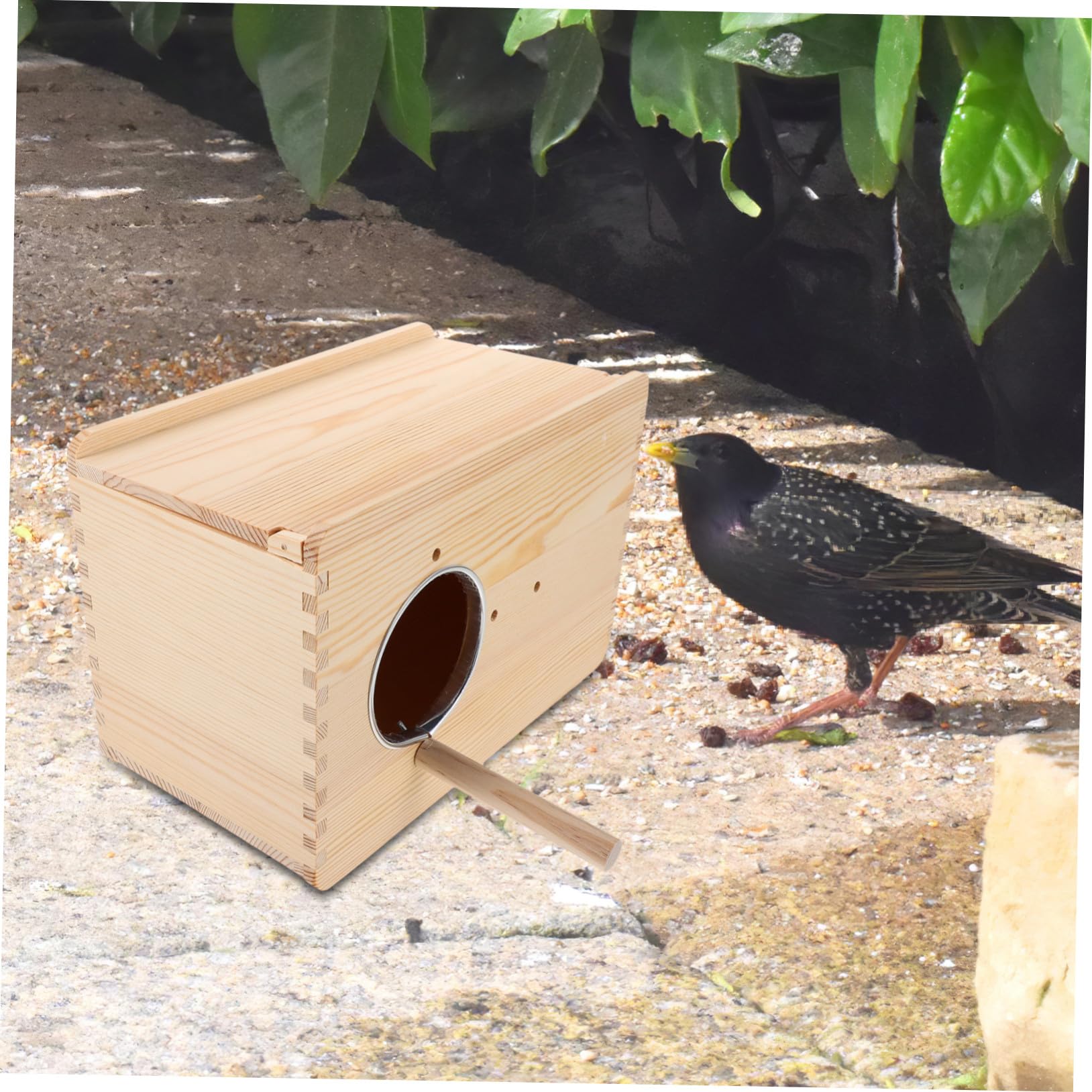 Caja Nido de Cría para Loros de Madera 25x18x15 Cm | Periquitos y Cacatúas, Casa Colgante para Agapornis, Bordes Lisos y Uso en Jardín o Patio