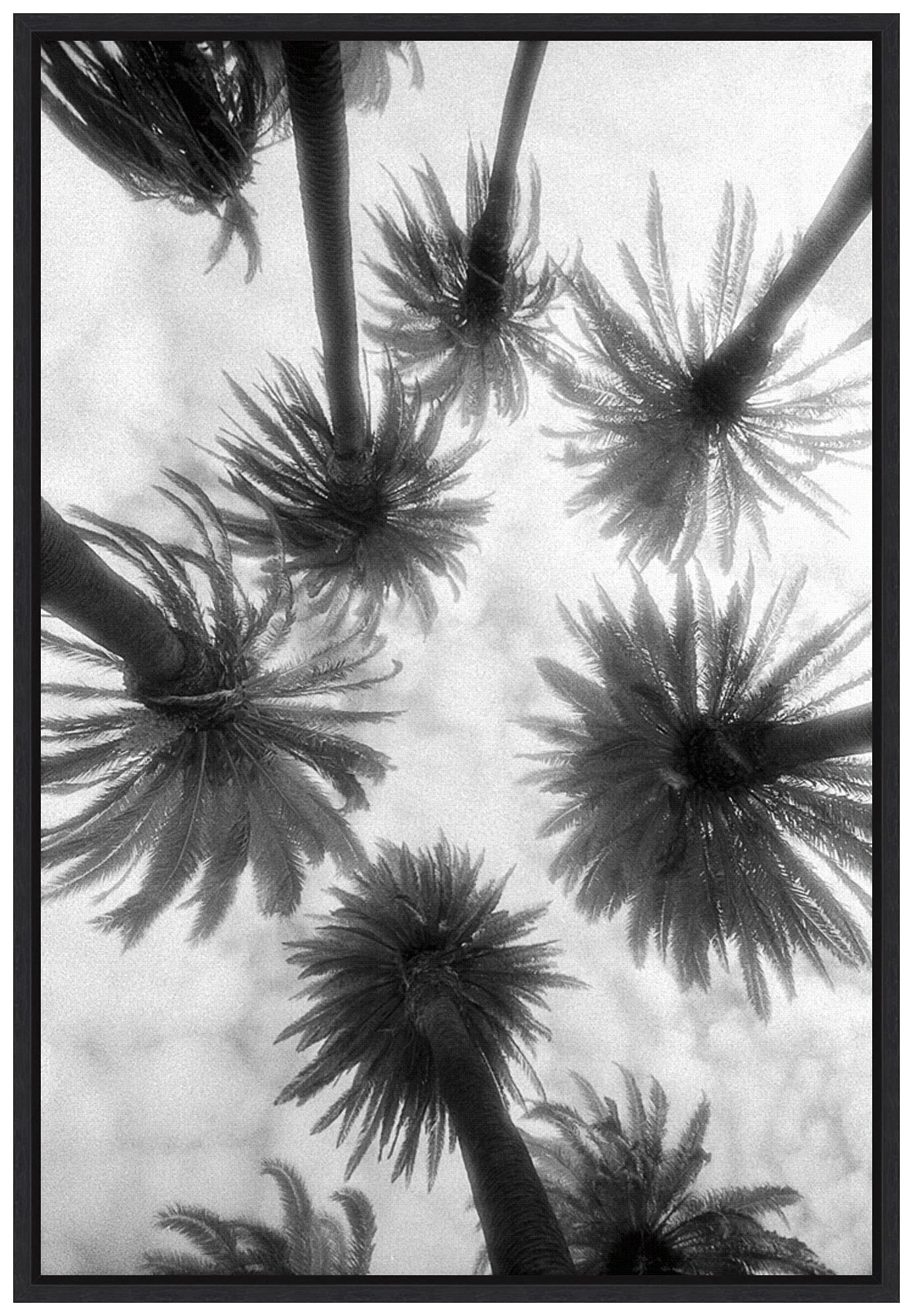 ヤシの木額入り装飾版画 楽天市場】ヤシの木（版画｜絵画）：アート・美術品・骨董品