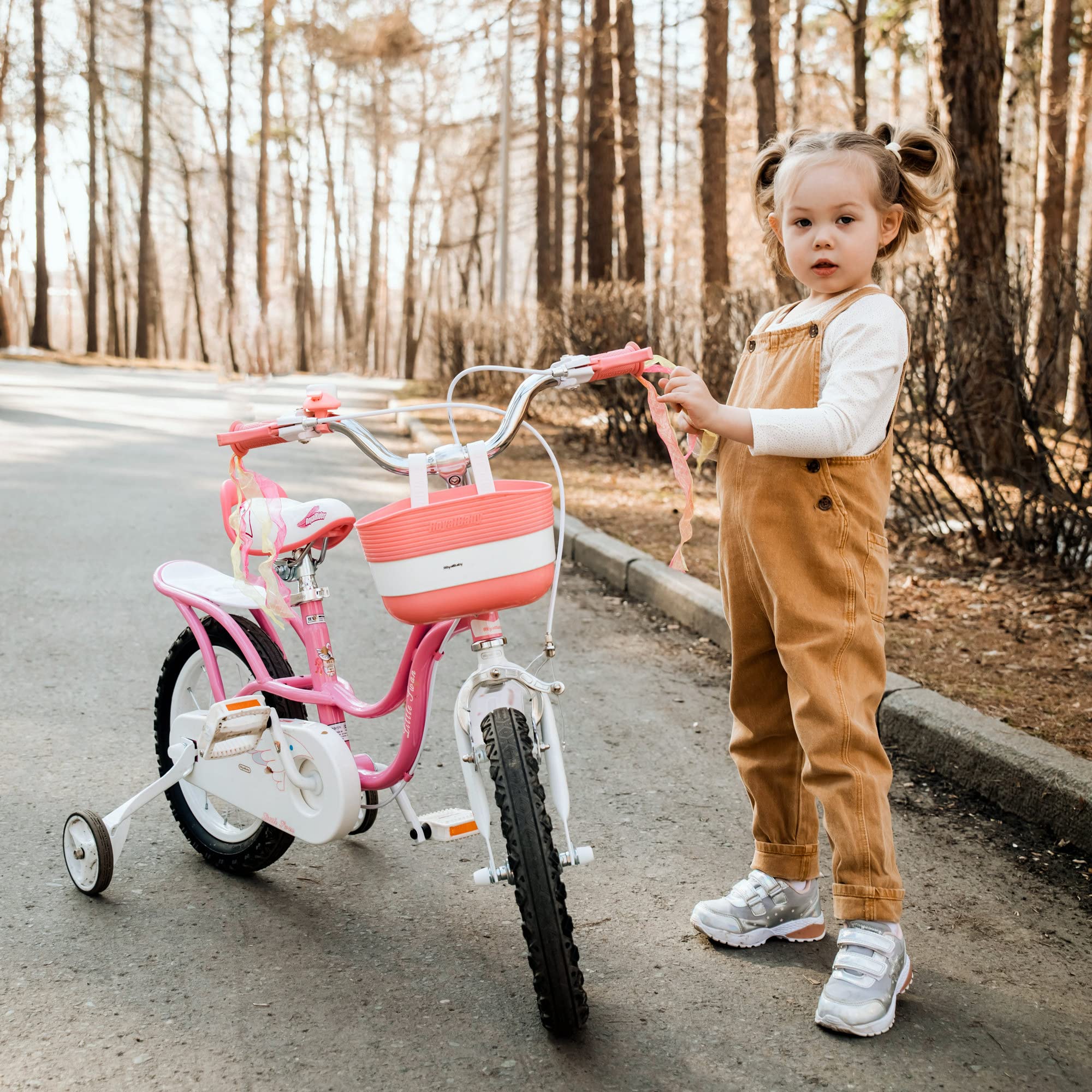 RoyalBaby Little Swan Bicicleta Infantil para niña, Ruedas estabilizadoras, 12, 14, 16, 18 Pulgadas, a Partir de 3-10 años, Color Rosa