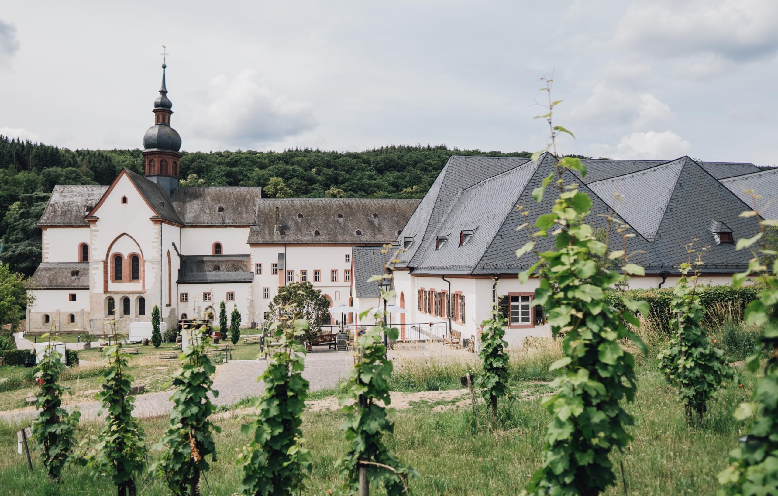 Kloster Eberbach - 1er Geschenkset - Deutscher Sekt - Riesling - Trocken Schaumwein aus Rheingau (1 x 0.75 l) (Packung mit 6)