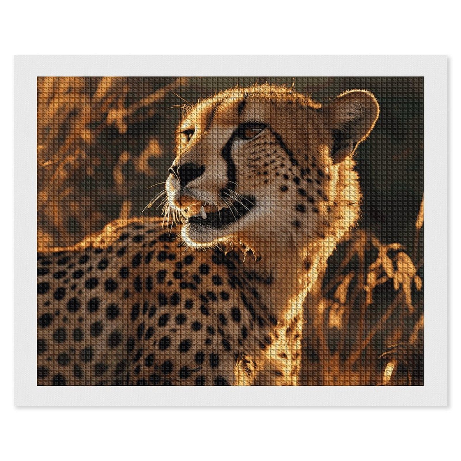 Cheetah Diamond Art Kits for Adults, DIY 5D Diamonds Painting Kits for Beginner, Round Full Drill Diamond Dots Painting, 16"x20" Diamonds Pictures Gem Art and Crafts Wall Decor