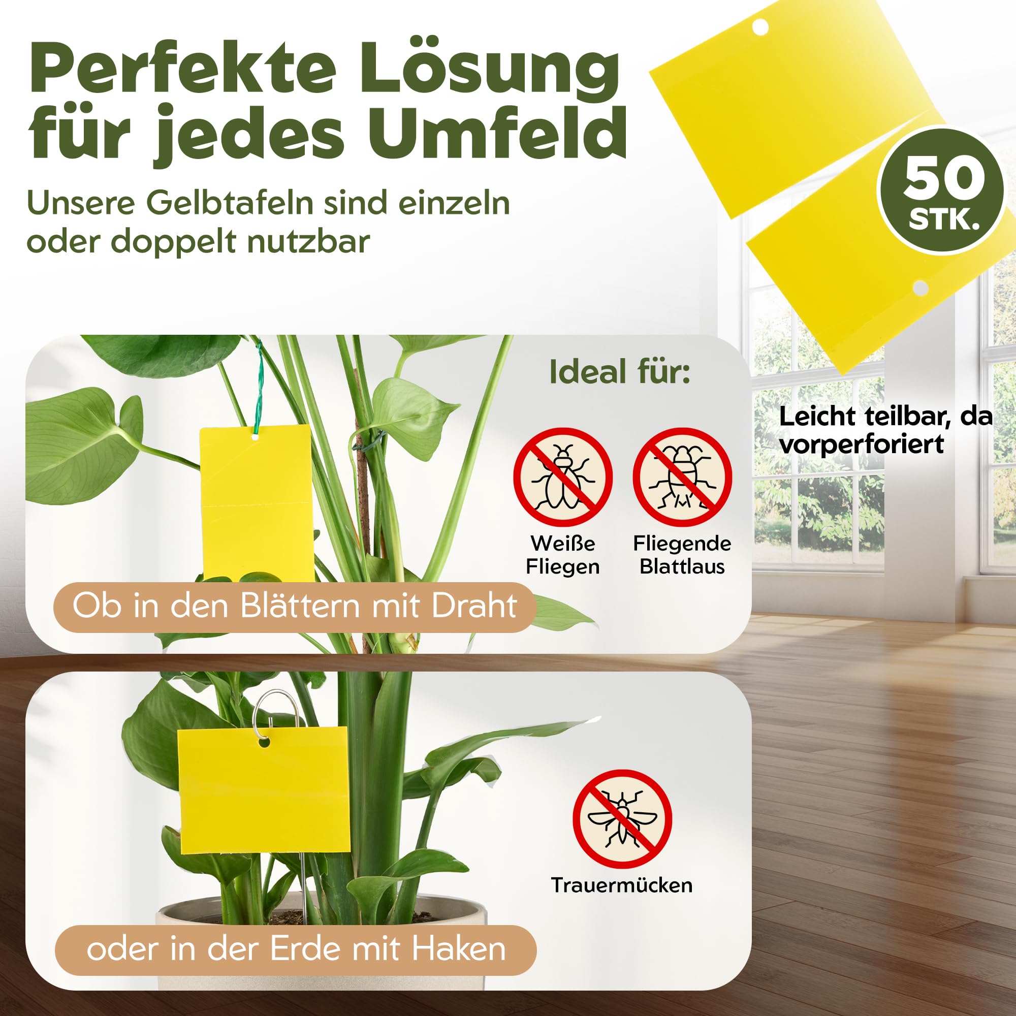 VITALLEO Gelbtafeln gegen Trauermcken - 50 Stck  Trauermcken bekmpfen,  Gelbsticker Zimmerpflanzen & Garten  Mittel gegen Trauermcken & kleine  Fliegen : Amazon.de: Garten