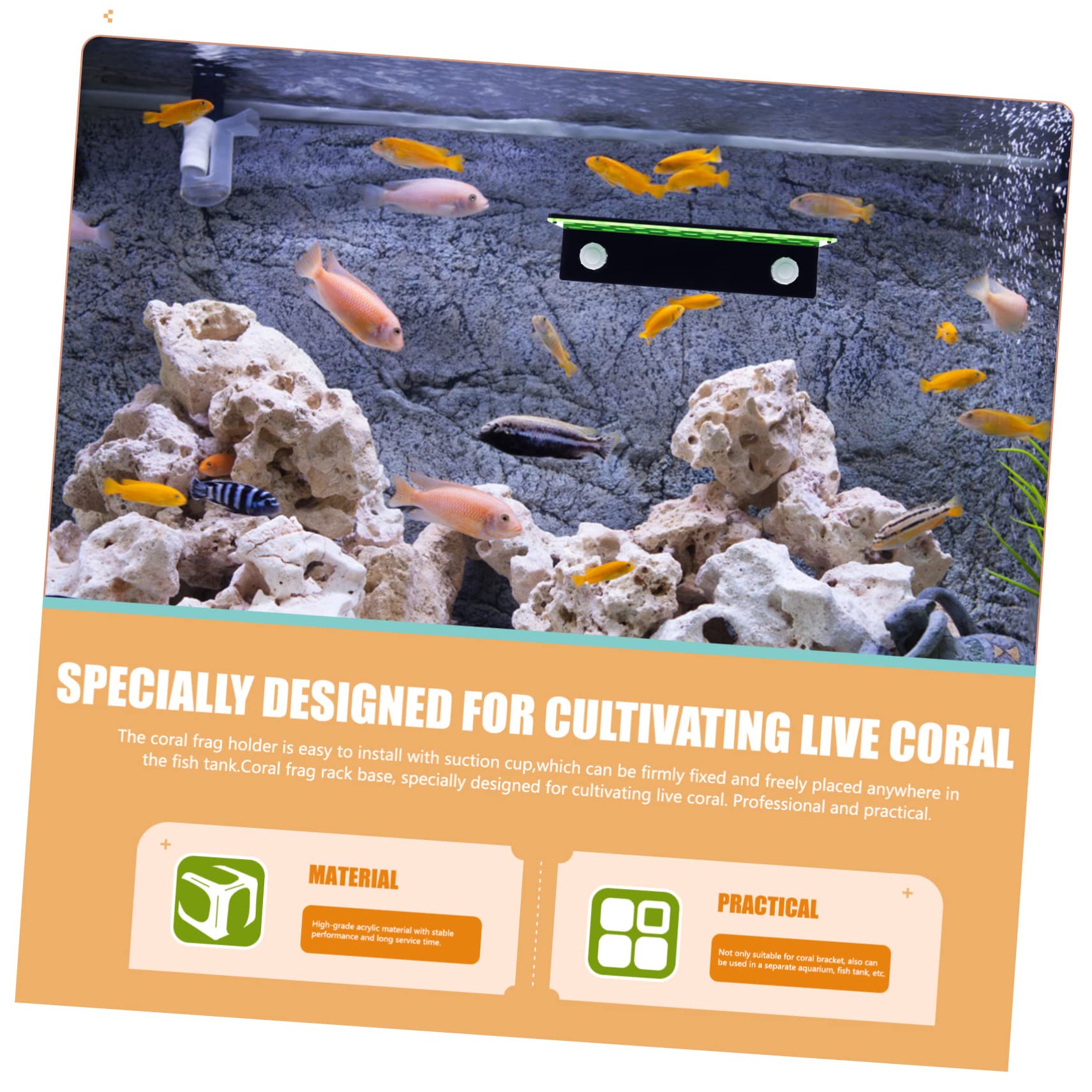 YARNOW Support à Boutures de Corail Aquarium 23 Trous Double Couche | Acrylique, pour Coraux Marins et Fragments Cassés, Placement et Fixation Ferme