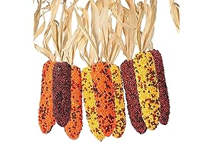 Decorative Indian Corn: An Autumnal Harvest of Hues for Rustic Fall Adornment