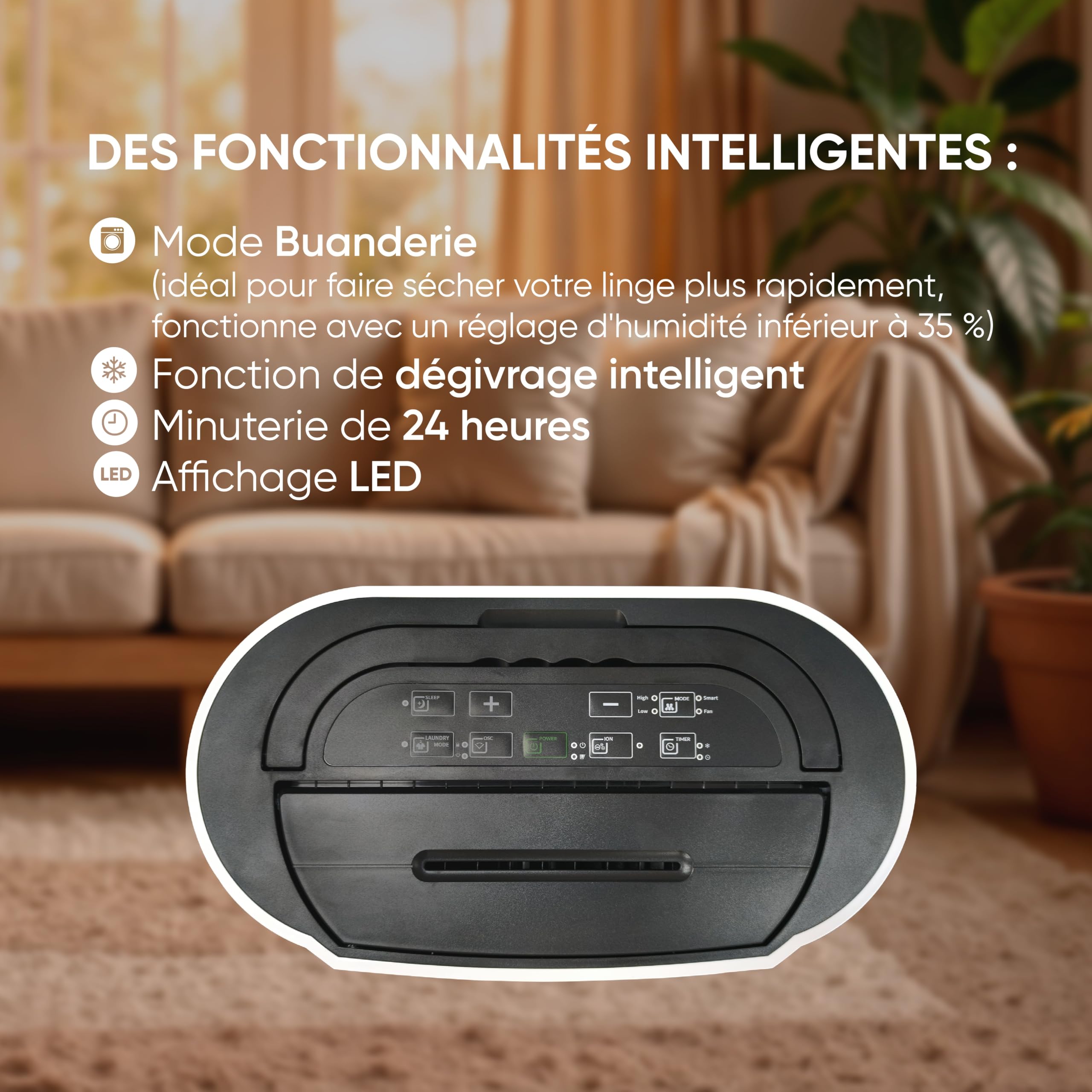 BESTHERM - Deumidificatore d'aria BESTHERM - Feryel 24L/giorno, serbatoio rimovibile, filtro a carbone attivo, ionizzatore integrato