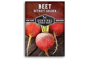 Detroit Golden Beet Seeds: Grow Sweet Yellow Root Vegetables