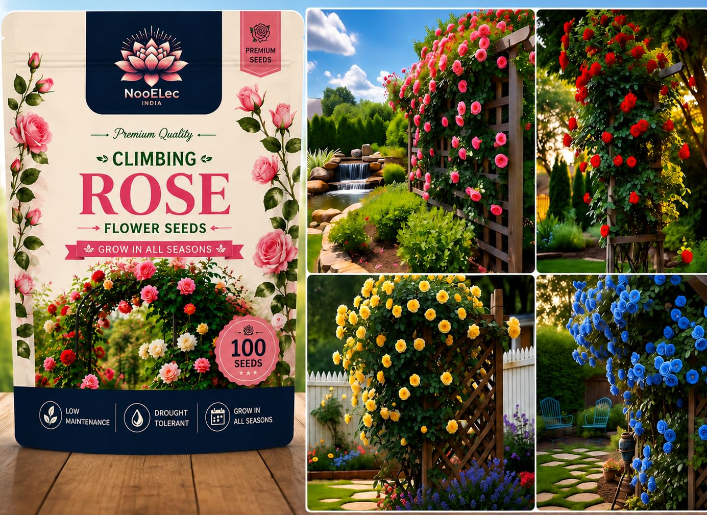 Climbing Rose Flower Seeds - Hybrid, Year-Round Blooms (MIX) | Low Maintenance-image-31