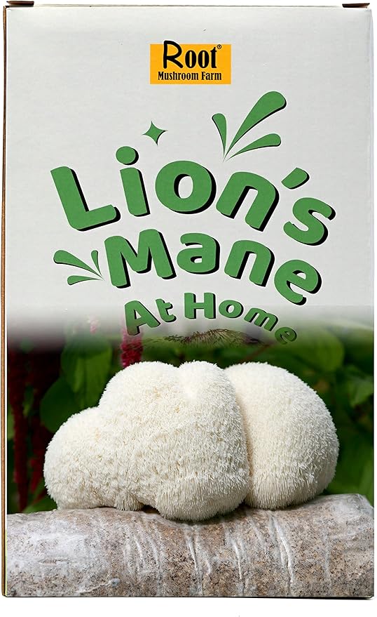 Lion's Mane Grow Kit (one kit), 3.2 Pound Log Patio