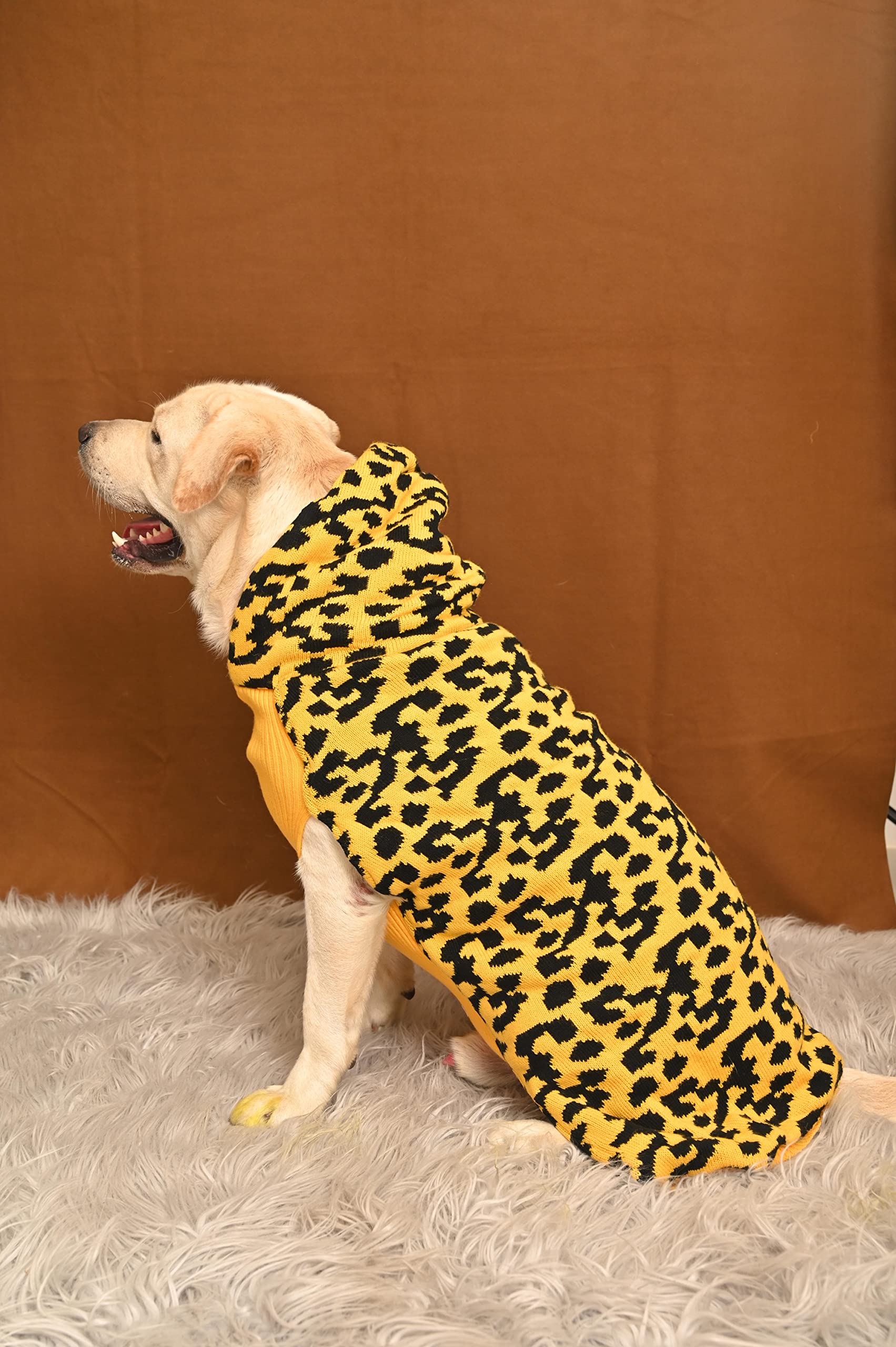 See full amazon price history chart for Petsnugs Pet Sweater Dog Sweater Leopard Knitwear Design Pet Clothing Warm Sweater Pet Clothes (XS) Petsnugs Pet Sweater Dog Sweater Leopard Knitwear Design Pet Clothing Warm Sweater Pet Clothes (XS) (B0B7BDKWS2) Amazon Price History, Amazon Price Tracker