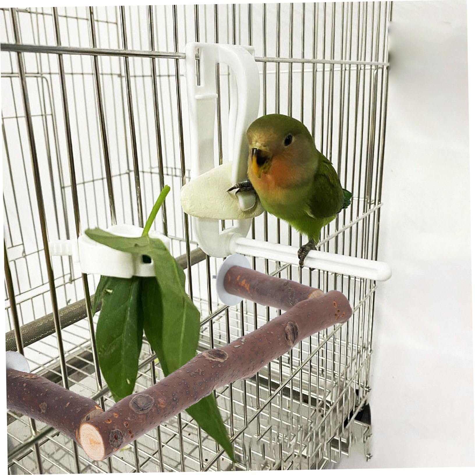 POPETPOP 5pièces Perchoir Naturel pour Oiseaux Support Activité pour Perroquets Et Oiseaux De Compagnie Accessoire De pour Multi-usages