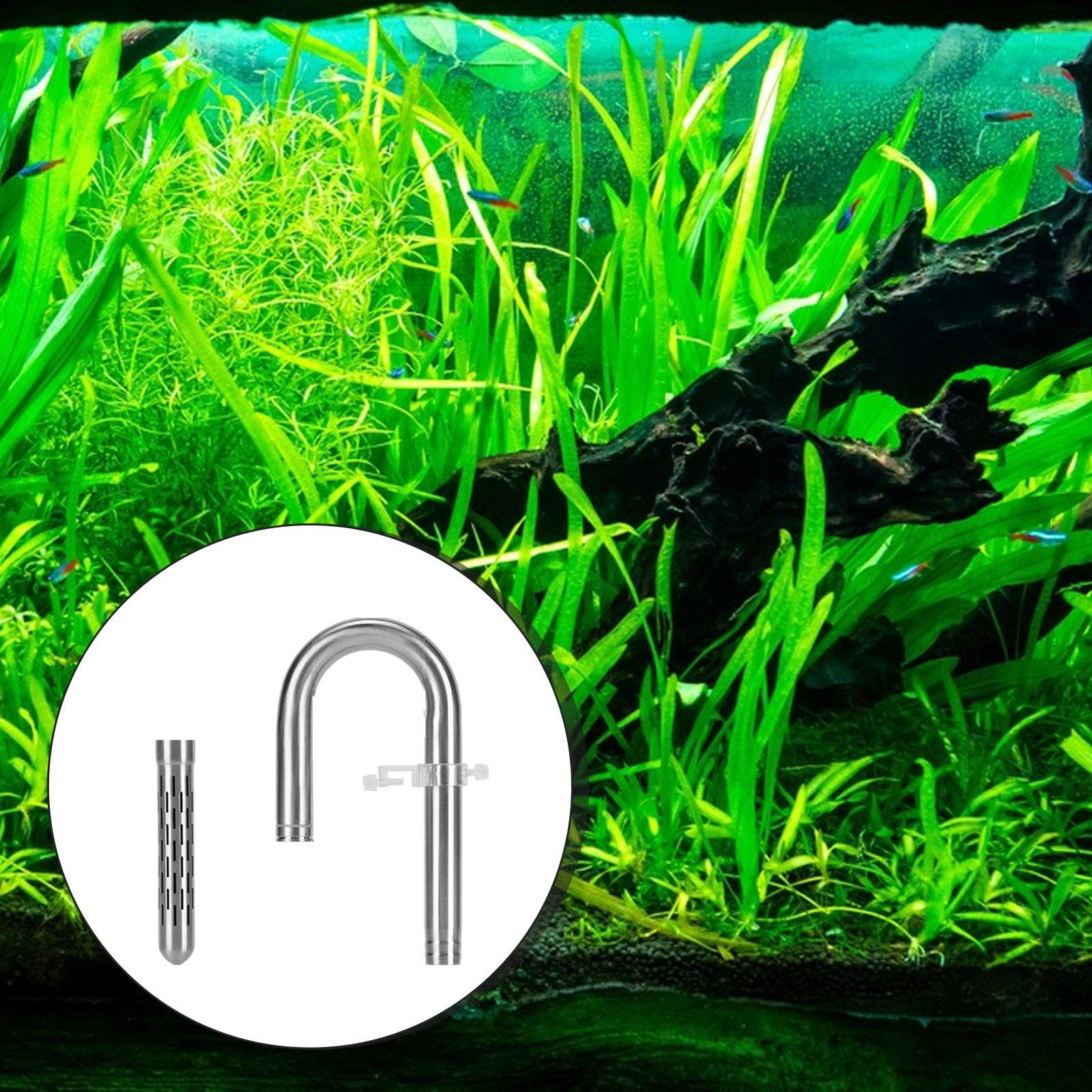 Aquatic Lily Rohr Set Edelstahl Aquarium Einlassrohr Universal Oberflächenabsauger mit Leicht Abnehmbarer Halterung für Süßwasserbecken Fischzu, 20 Wassereinlass