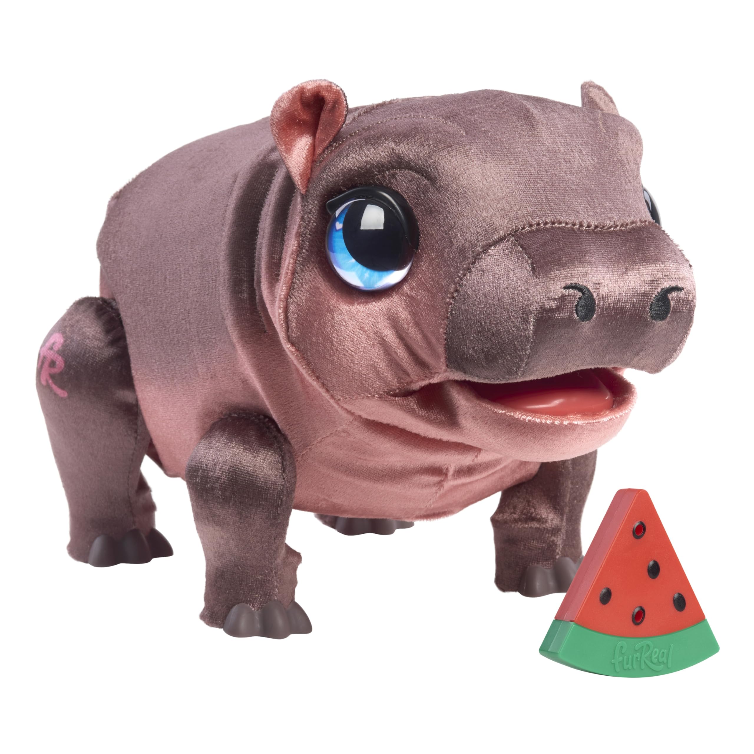 Amazon.com: FurReal Sally The Silly Hippo, 9 Inch Interactive