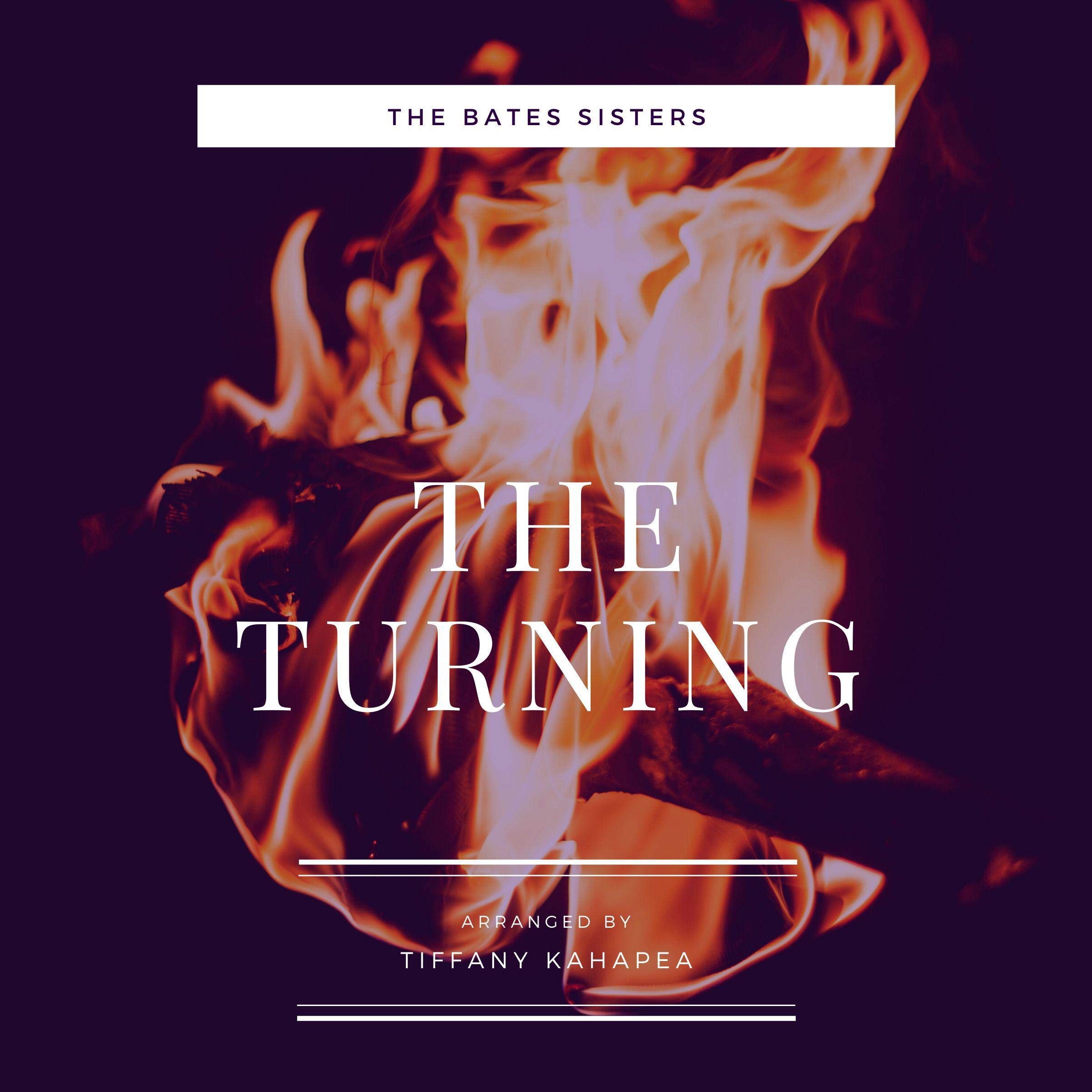 Cover art for The Turning