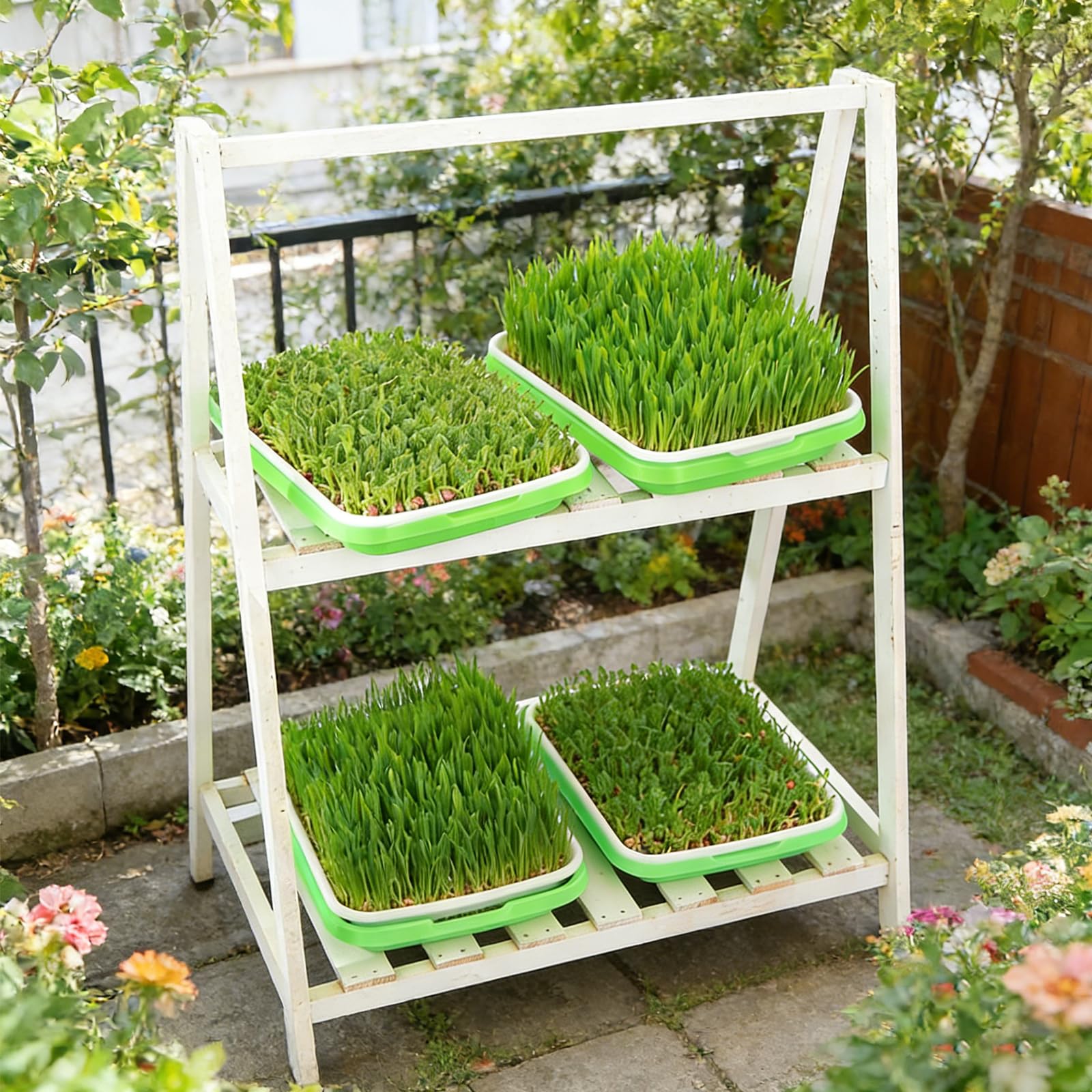 ZONJIE 5 bandejas para germinar brotes – Seed Sprouter Tray – Bandeja para germinar 32 cm x 25 cm Berro bandeja germinación bandeja para germinar microgreens, berros, frijol mungo, alfalfa, hierba de