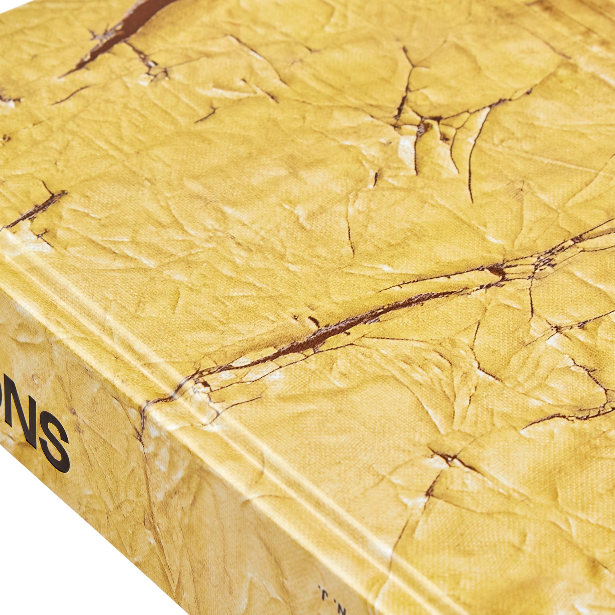 David Hammons