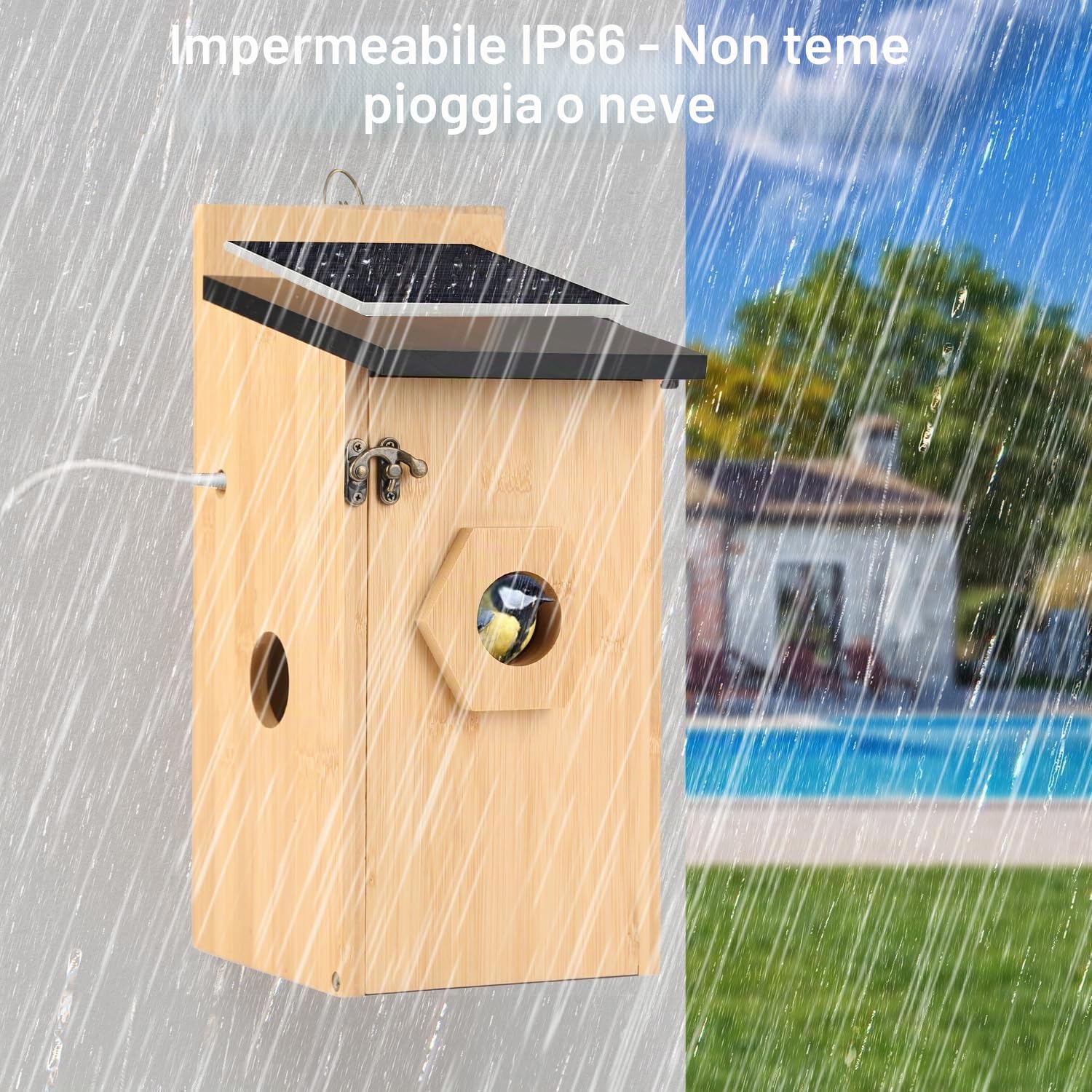 Casetta per uccelli con fotocamera, 5MP HD, per esterni, notifica WiFi 2,4 G e App, osserva la nidificazione e la schiusa, registrazione automatica di video degli uccelli e rilevamento del movimento