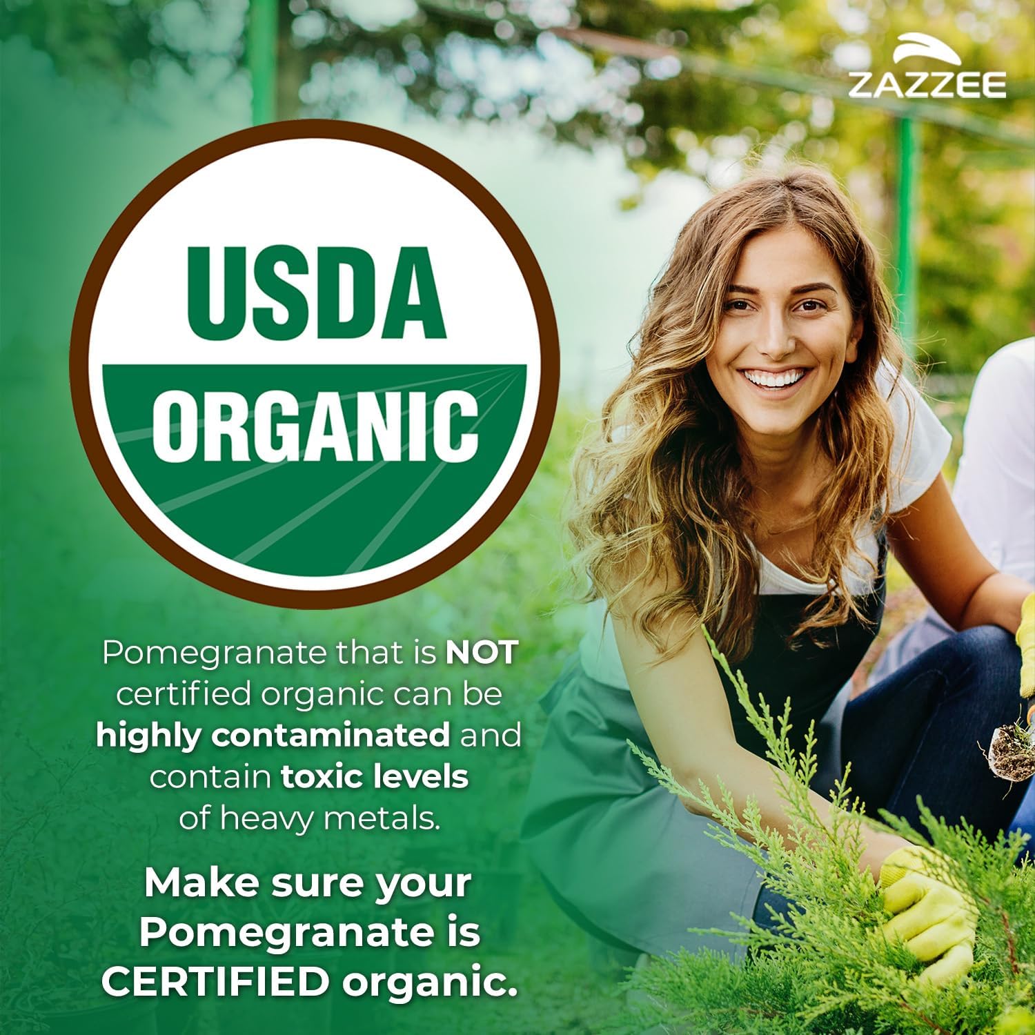 Zazzee USDA Organic Pomegranate 20:1 Extract, 7000 mg Strength, 40% Ellagic Acid, 100 Vegan Capsules, 3+ Month Supply, Standardized 20X Extract, Immune Support, All-Natural, Non-GMO, Made in The USA - Image 2