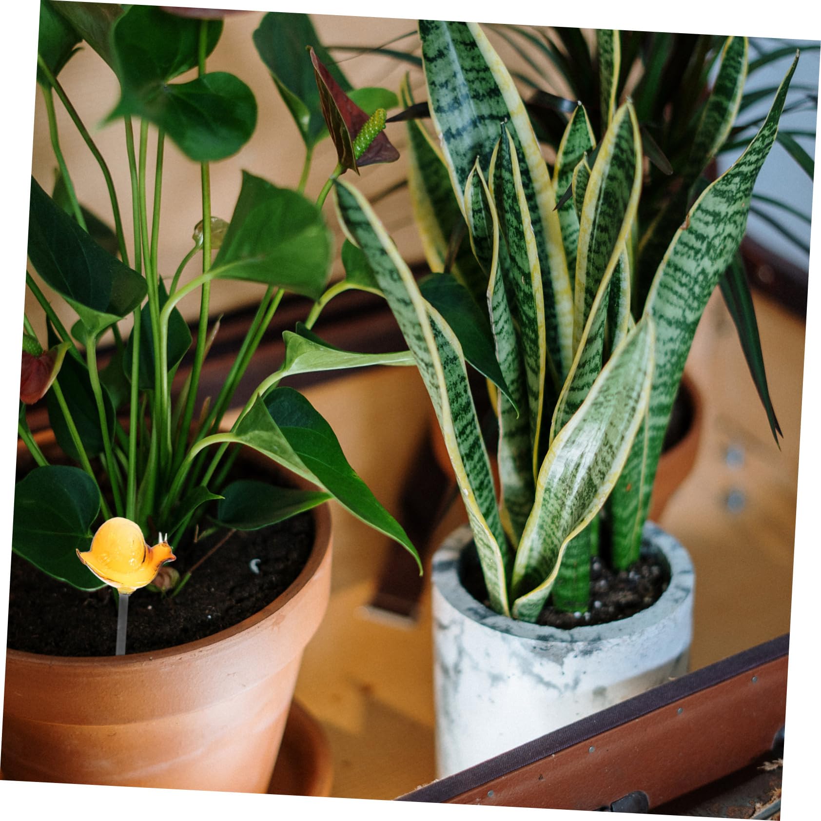 BESPORTBLE 3 Pezzi di Annaffiatoio per Fiori A Forma di Lumaca in Dispositivo di Irrigazione Automatico per Fiori Bidet Esterno Pulitore per Giochi d'Acqua Mini Dispositivi di