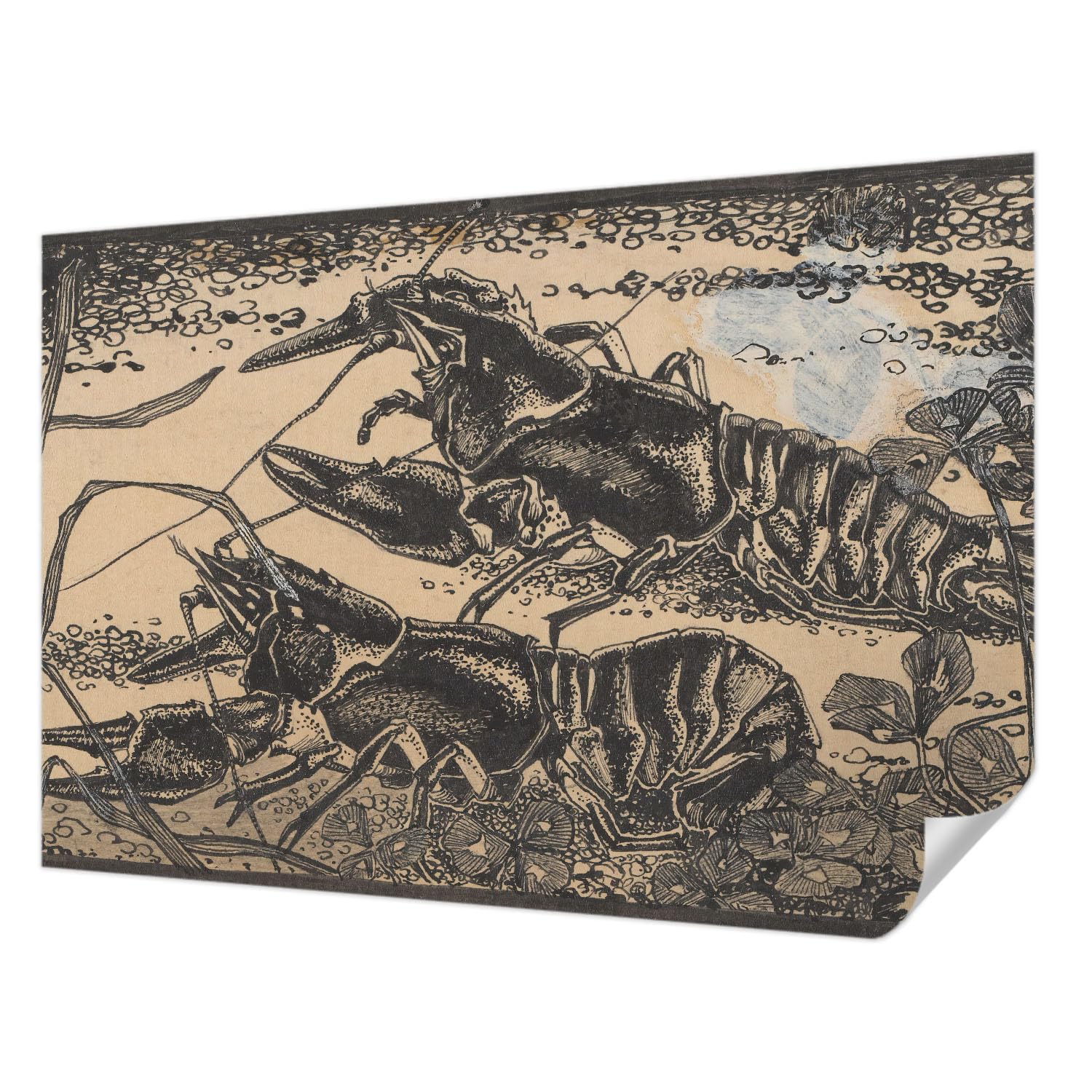 Papel tapiz autoadhesivo para tapar imperfecciones Tulup 152x104 cm diseño cangrejo de río