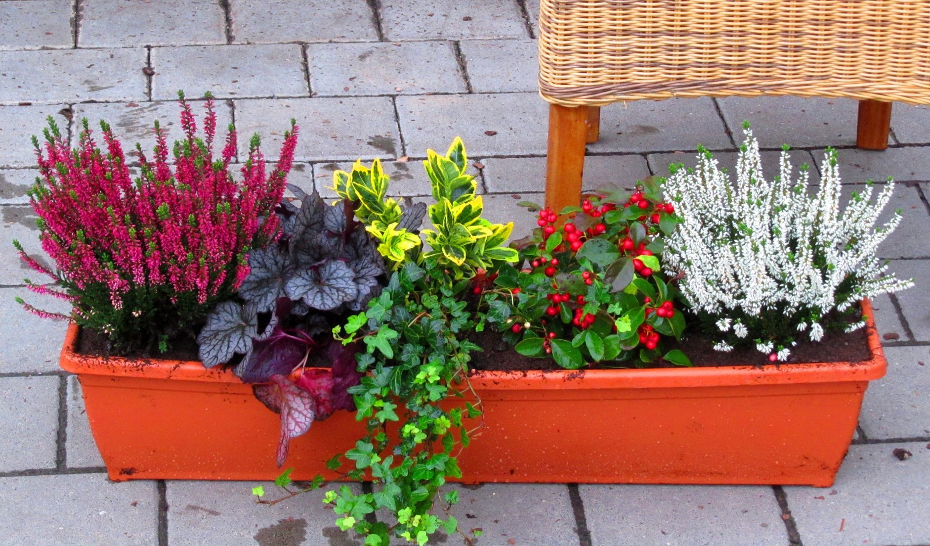 dachshund planter Dachshund Flower Pot Planter Plan