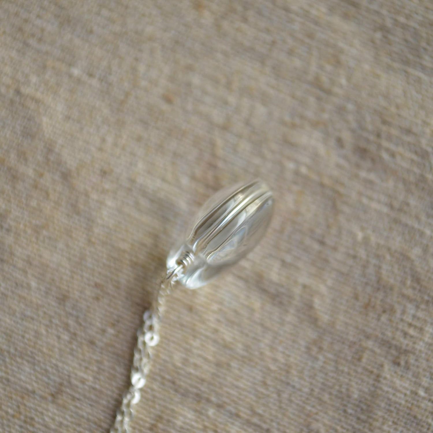 Dandelion Make a Wish Real Flowers Heart Love Glass 925 Sterling Silver Chain Necklace for Women Handmade