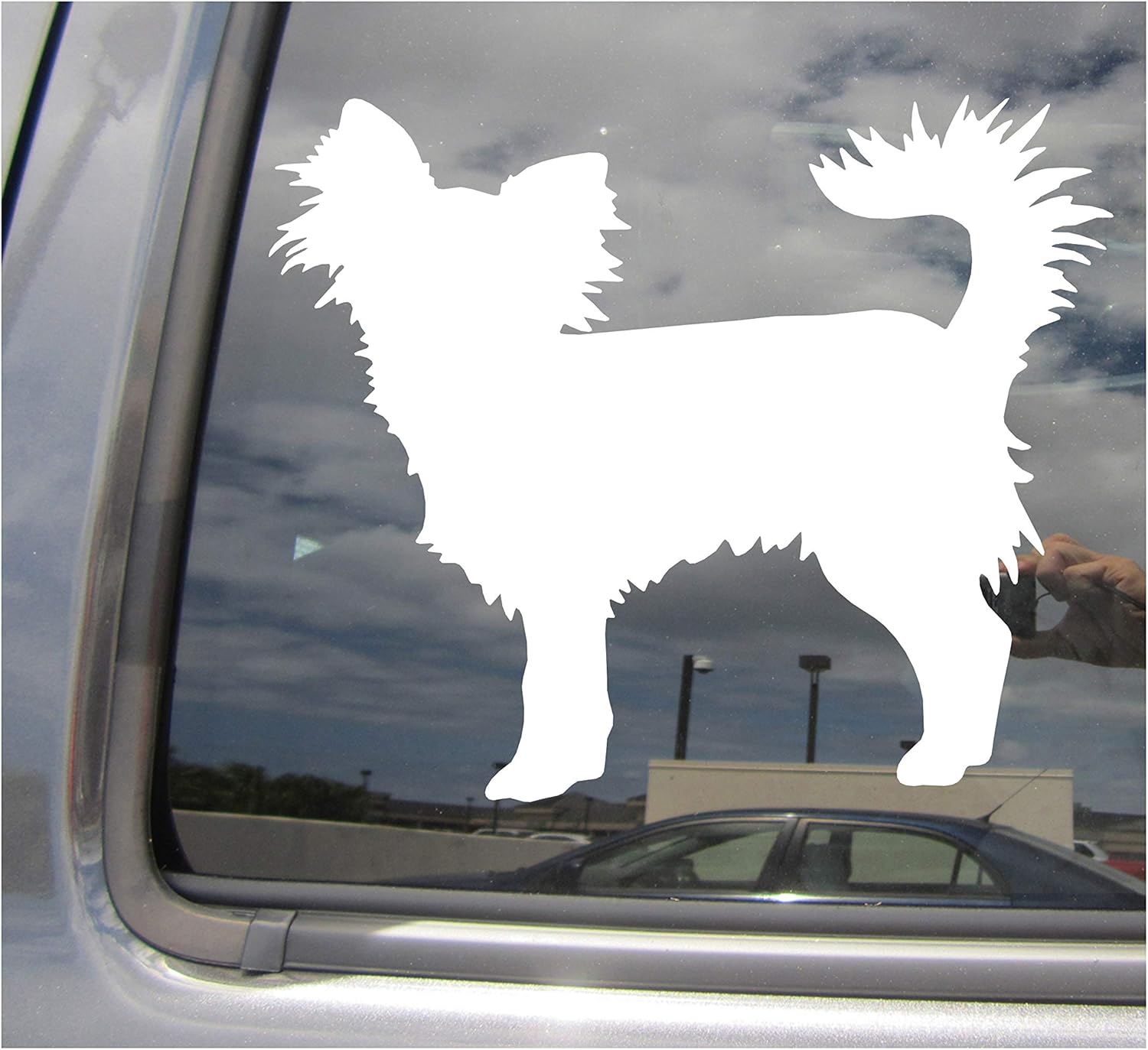 - Long Haired Chihuahua Dog - Chi Mexico Pure Breed Purebred - Cars Trucks Moped Helmet Hard Hat Auto Automotive Craft Laptop Vinyl Decal Store Window Wall Sticker 01700