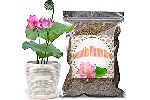 Safe Pond Clay for Aquatic Plants