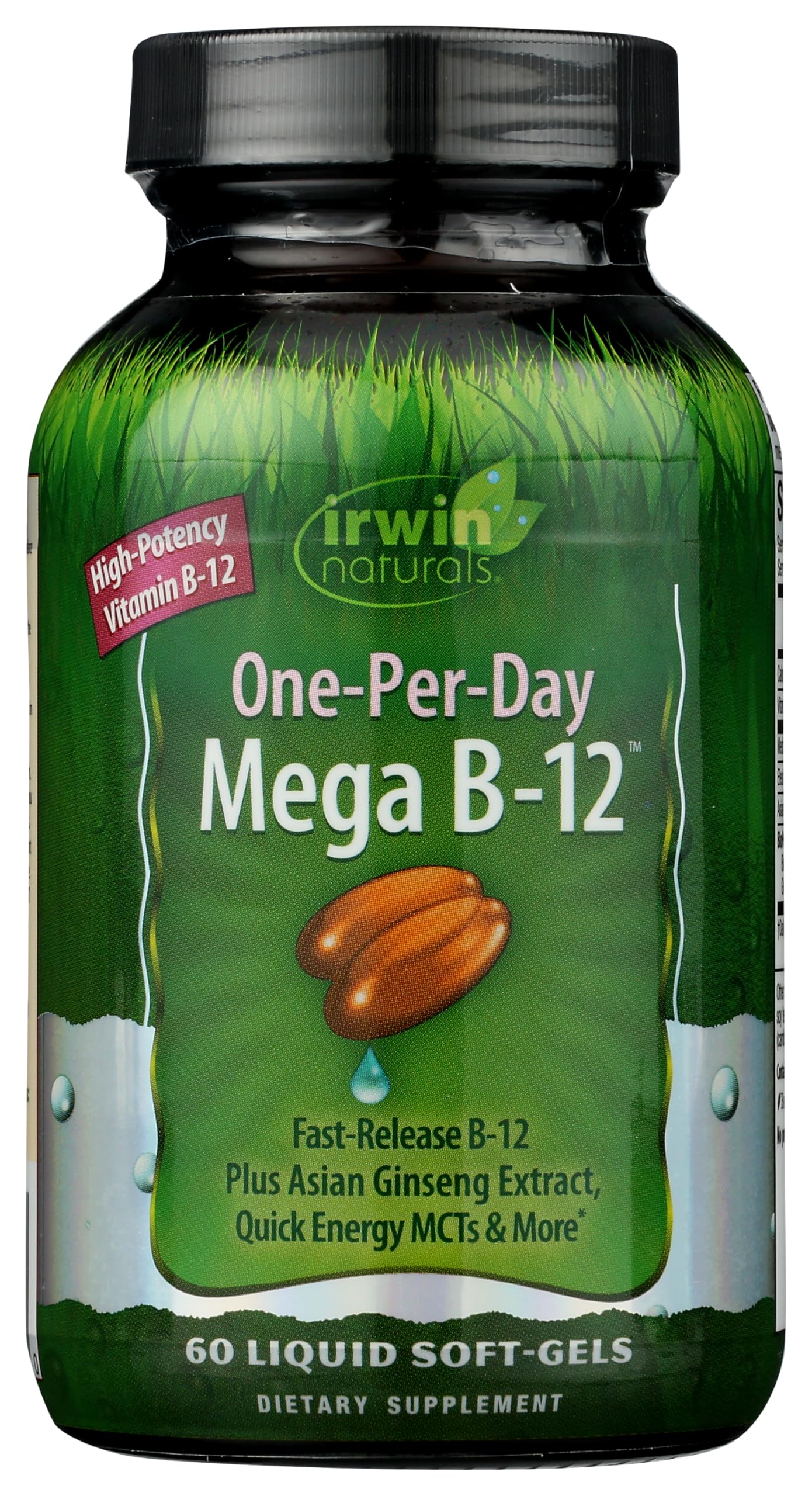 Irwin Naturals Quick Release B-12 Extra Cellular Energy Support | 60 Count 60 Count (Pack of 1)