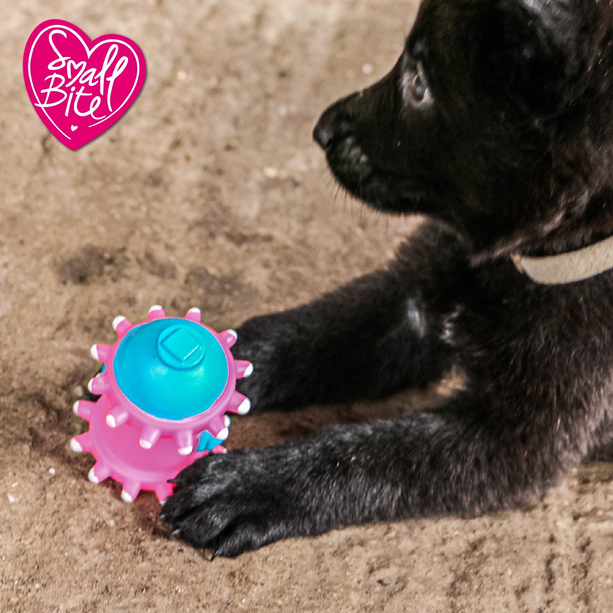 Ancol Small Bite Puppy Vinyl Selection Assorted, 8 cm