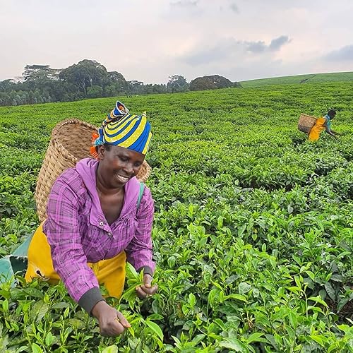 Miniatura 1 de Asami Té blanco de hibisco y melocotón procedente de forma sostenible directamente de agricultores africanos  Té blanco orgánico Tranquillity del
