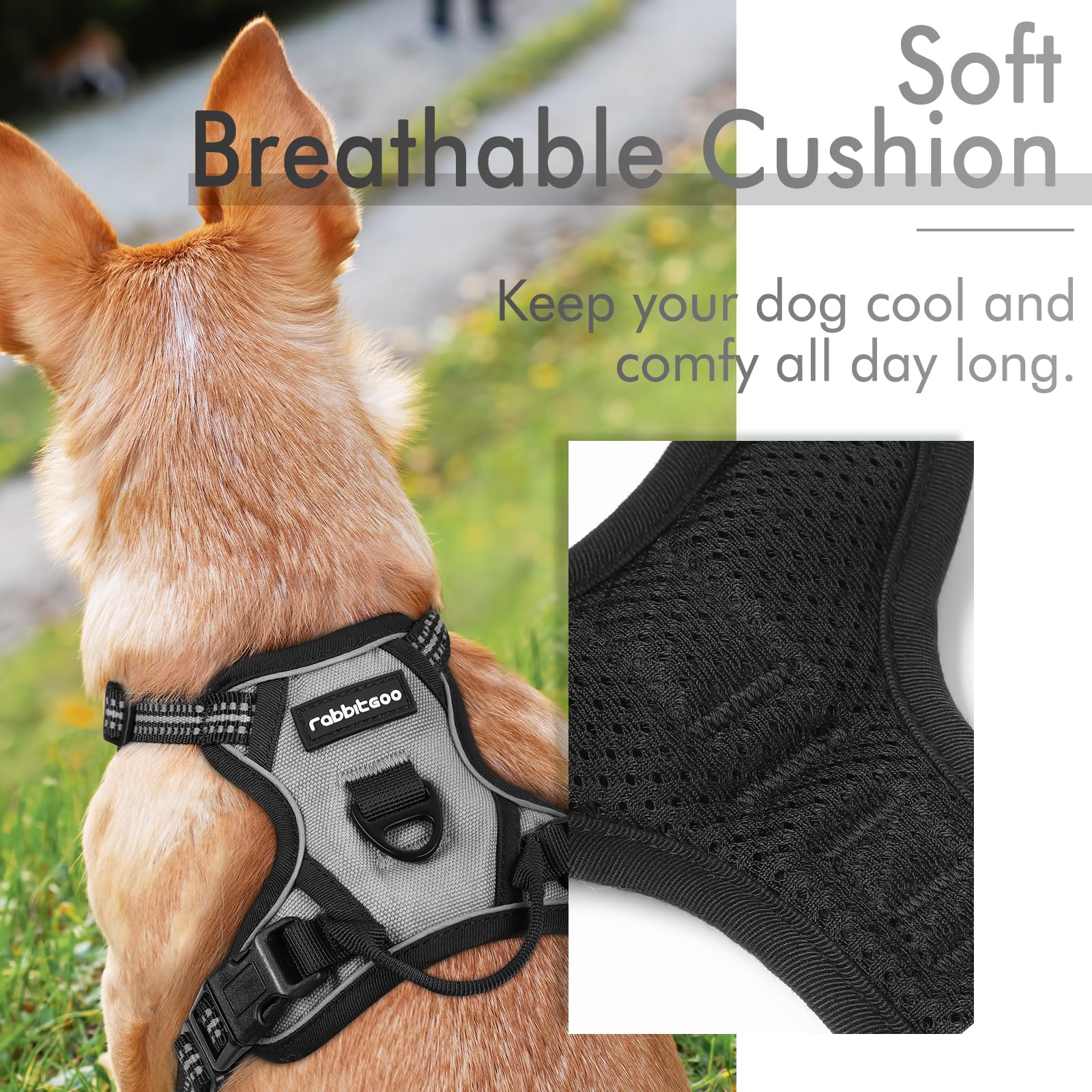 rabbitgoo Pettorina Cane Taglia Piccola, Pettorina Cane ad h Regolabile con 2 Ganci in Metallo, Pettorina per Cani Anti Tiro Riflettente, Imbracatura Cani Traspirante per Addestramento(XS, Grigio)