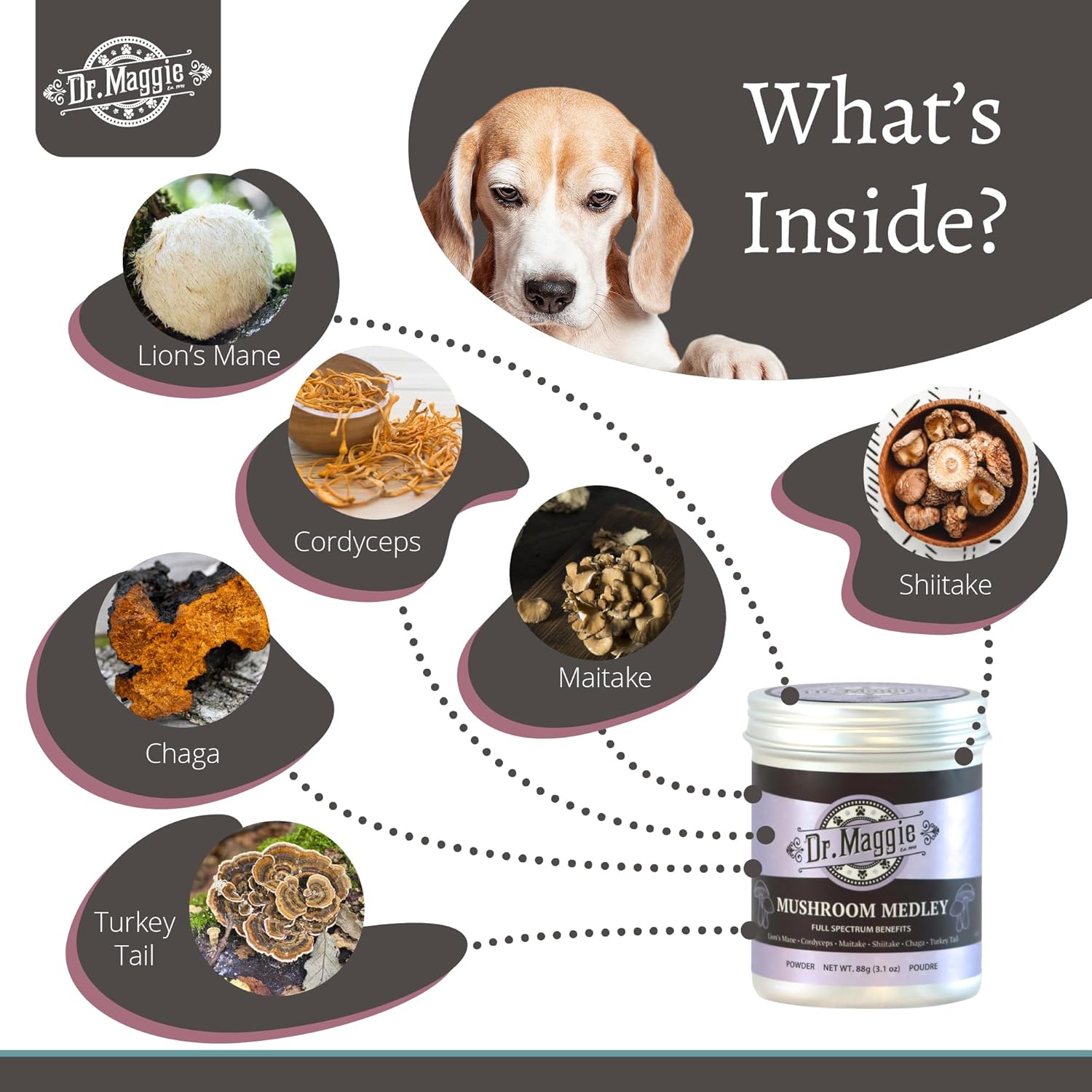 Dr. Maggie Mushroom Medley | Organic Mushroom Powder with Cordyceps Maitake Shiitake Chaga Turkey Tail and Lions Mane for Dogs and Cats | 88g