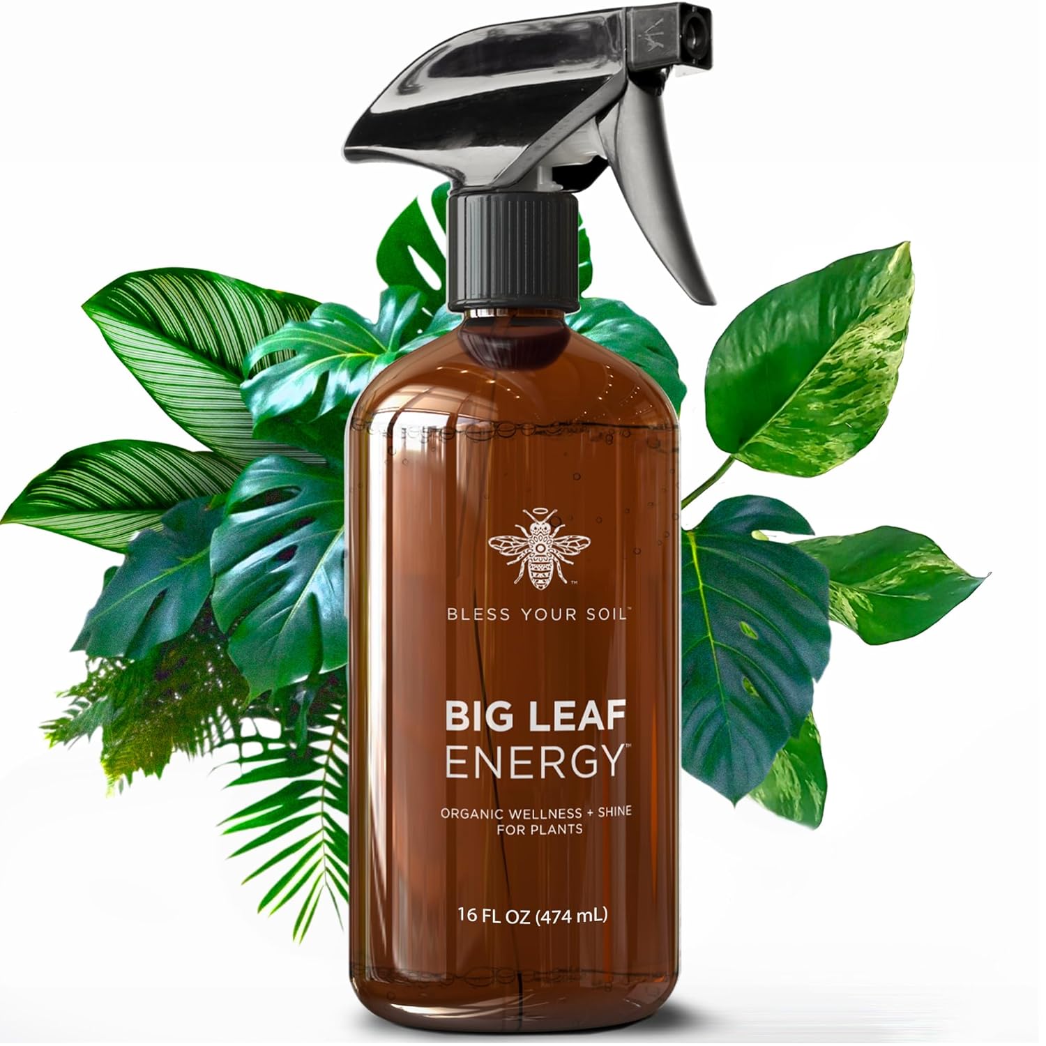Big Leaf Energy (16 FL OZ, Glass) Organic Neem Oil Plant Spray with Essential Oils : Natural Plant Wash for Indoor Houseplants and Outdoor Gardens