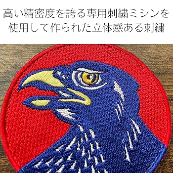 ベルクロワッペン29点セット 楽天市場】アメリカ海軍 第22戦闘攻撃飛行隊 レッドコックス