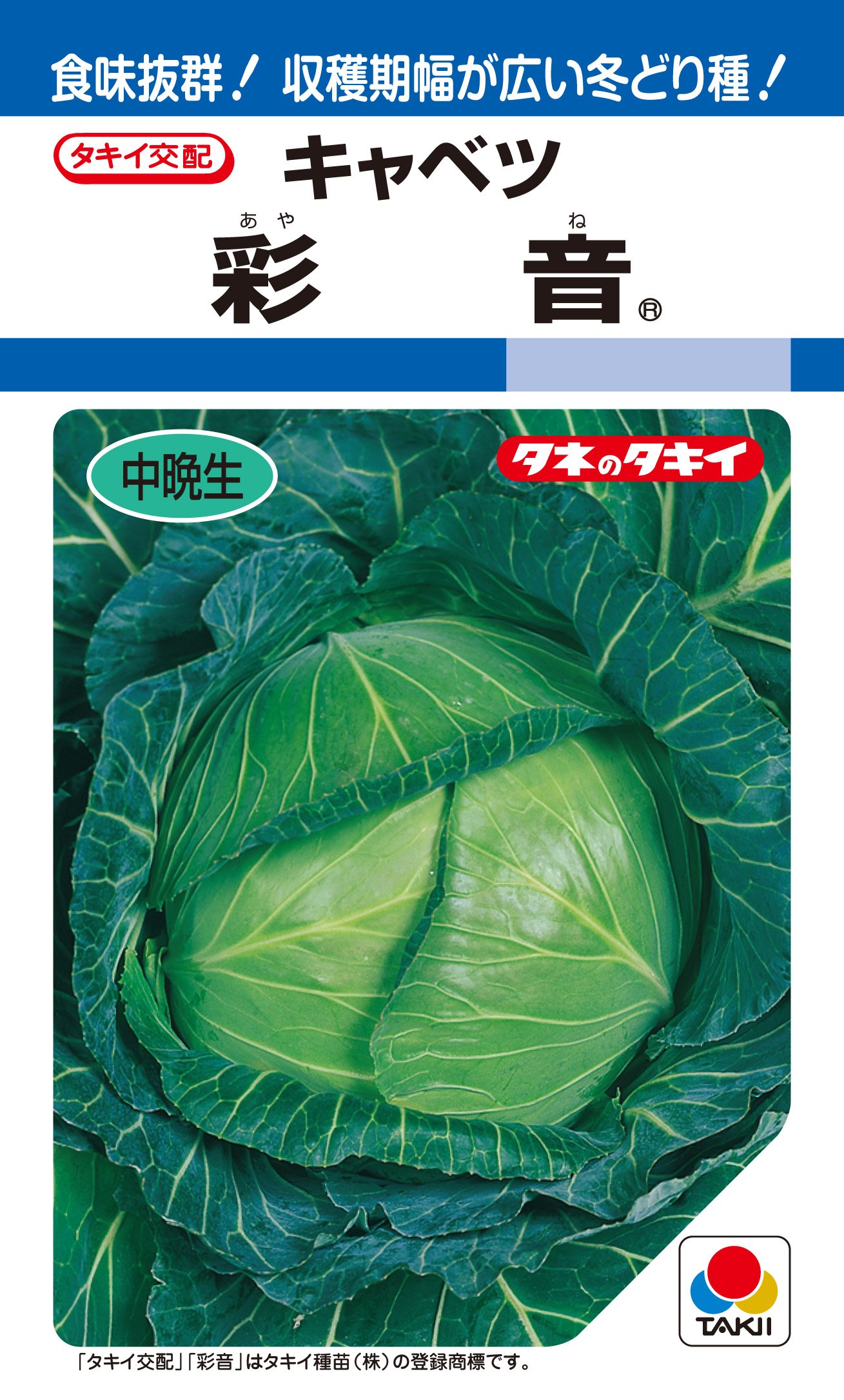 Amazon | タキイ種苗 キャベツ 彩音 ACA069 | 野菜