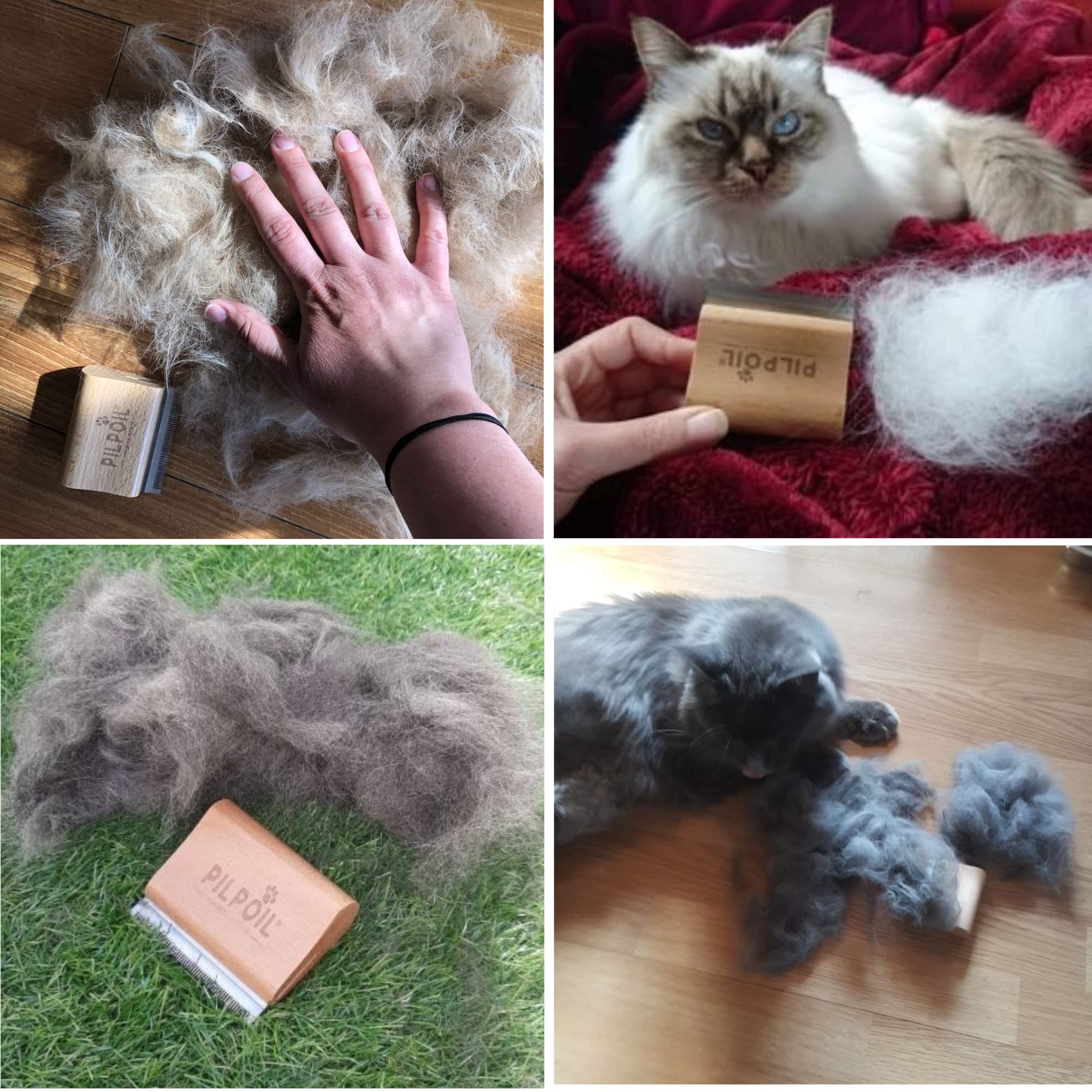 Pilpoil Pack Pro – Brosse Anti-Mue pour Chat et Lapin Poil Court en Bois + Raclette Anti-Poils Animaux – Accessoire de Toilettage – Taille S