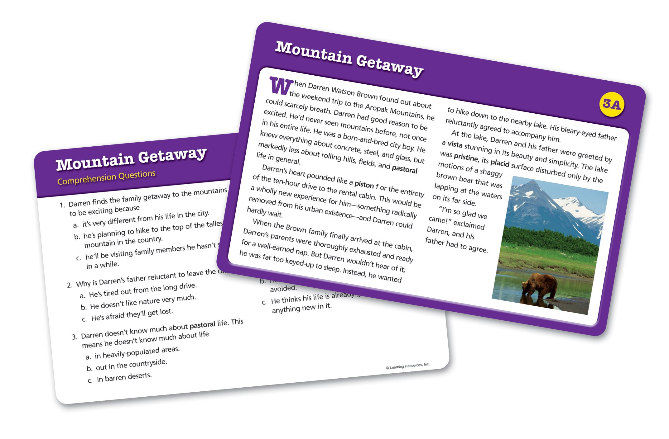 Learning Resources Reading Comprehension Card Set 5